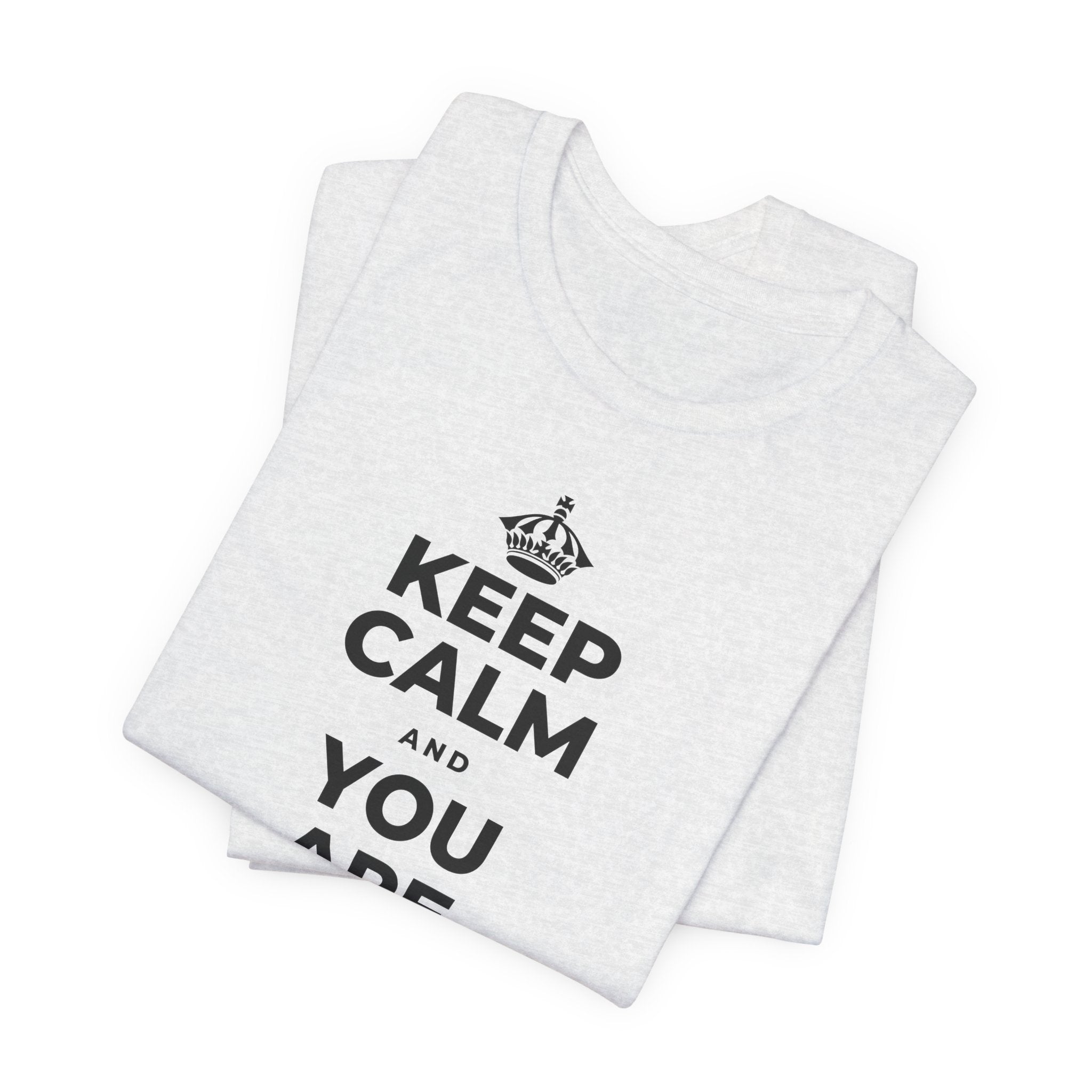 KEEP CALM AND YOU ARE DOING GREAT TODAY T-Shirt (Soft Cream–Heather Mauve)
