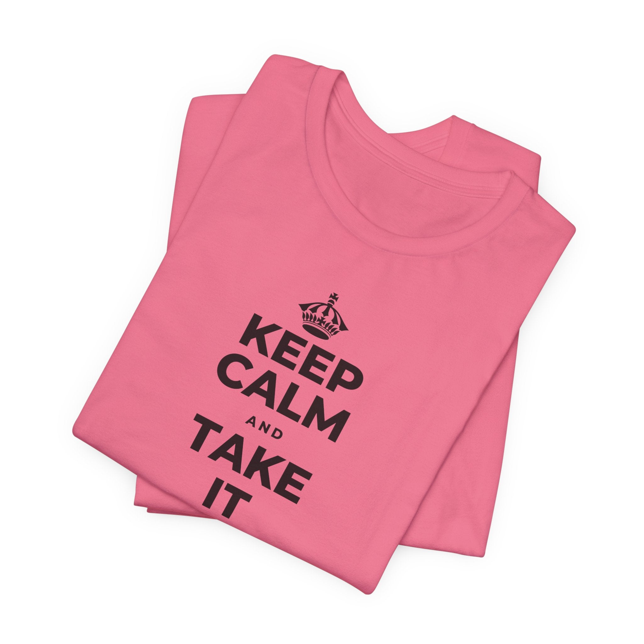 KEEP CALM AND TAKE IT ONE DAY AT A TIME T-Shirt (Military Green–Autumn)