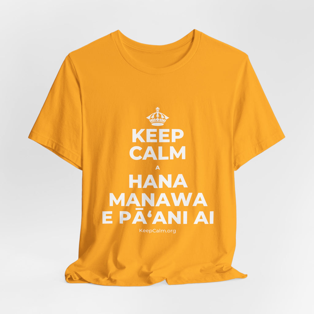 KEEP CALM A HANA MANAWA E PĀʻANI AI T-Shirt (Baby Blue–Silver)