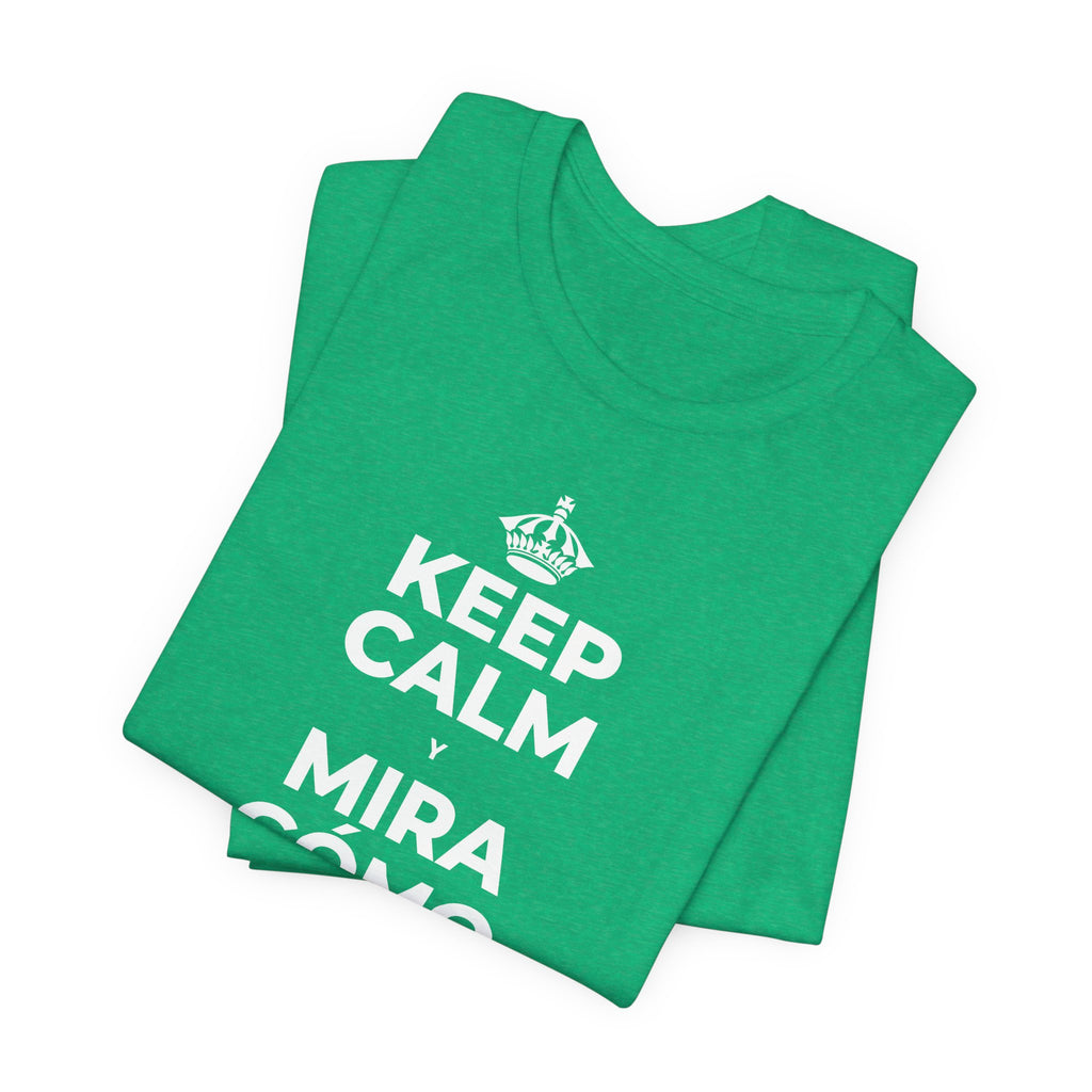 KEEP CALM Y MIRA CÓMO CAMBIAN LAS HOJAS T-Shirt (Baby Blue–Silver)