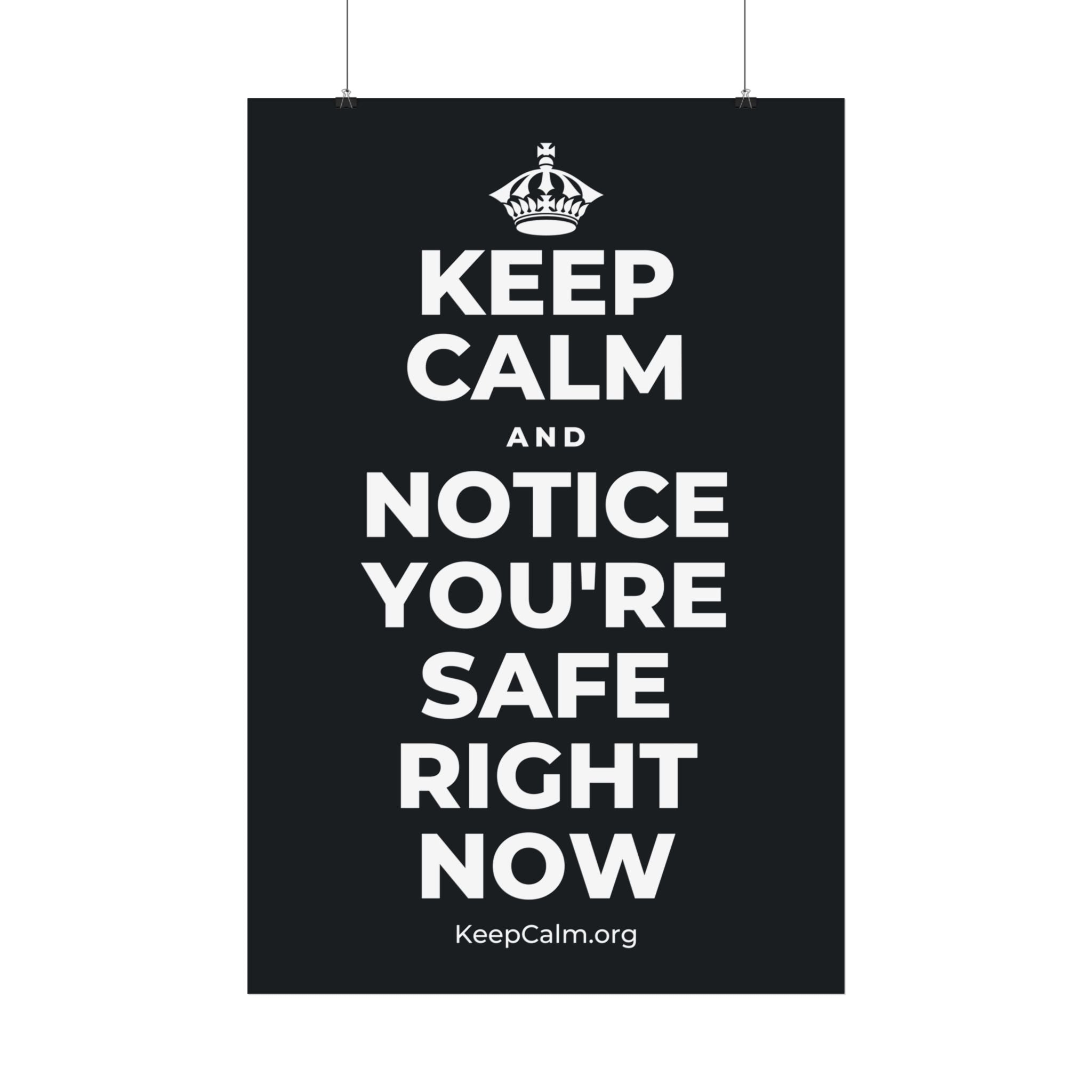 KEEP CALM AND NOTICE YOU'RE SAFE RIGHT NOW Satin Poster (Dark)