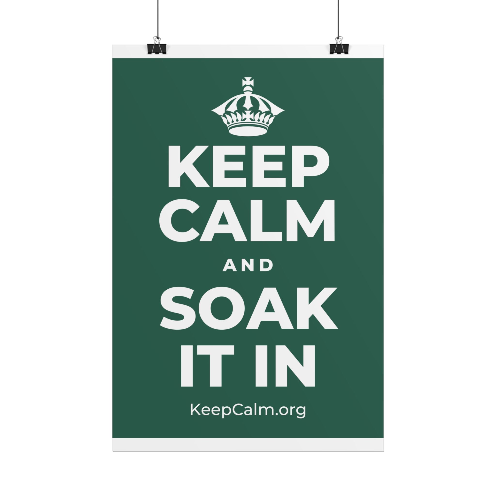 KEEP CALM AND SOAK IT IN Poster