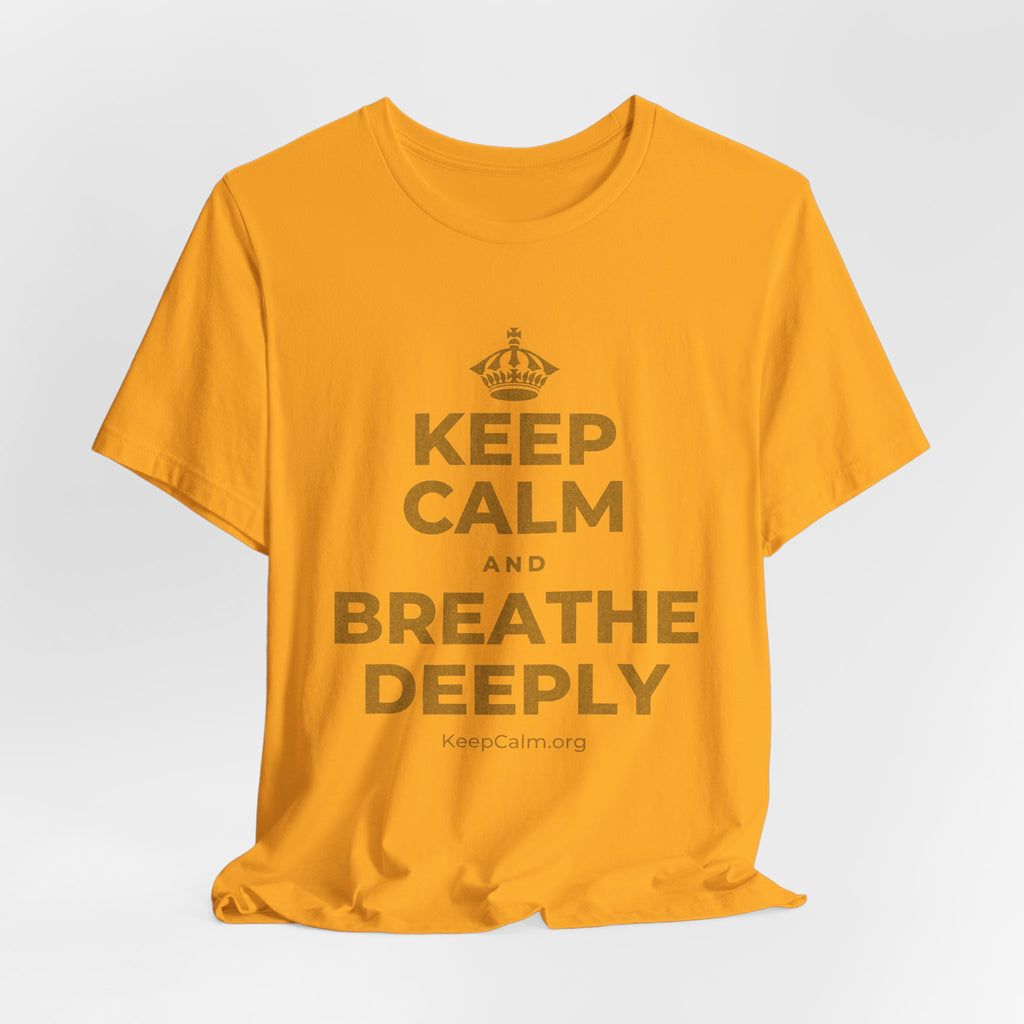 KEEP CALM AND BREATHE DEEPLY T-Shirt (Baby Blue–Silver)