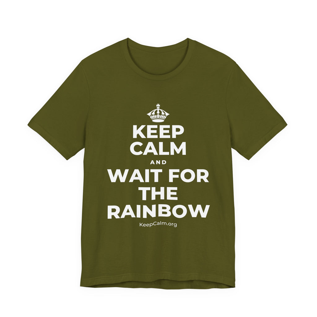 KEEP CALM AND WAIT FOR THE RAINBOW T-Shirt (Baby Blue–Silver)