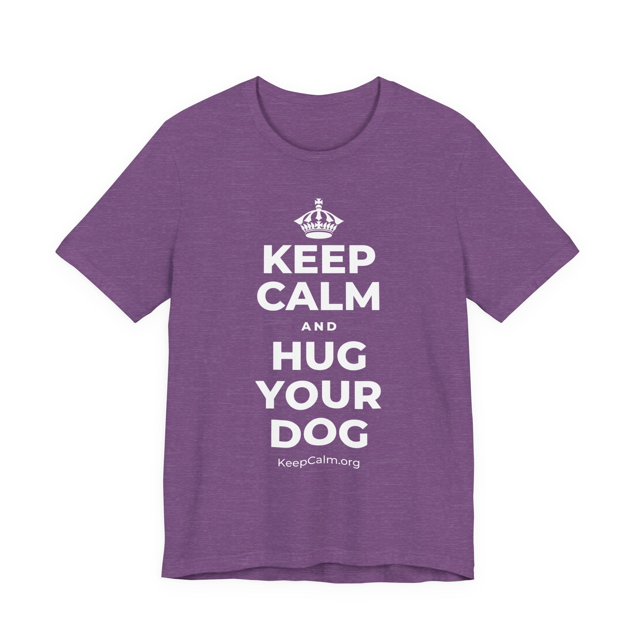 KEEP CALM AND HUG YOUR DOG T-Shirt (Baby Blue–Silver)
