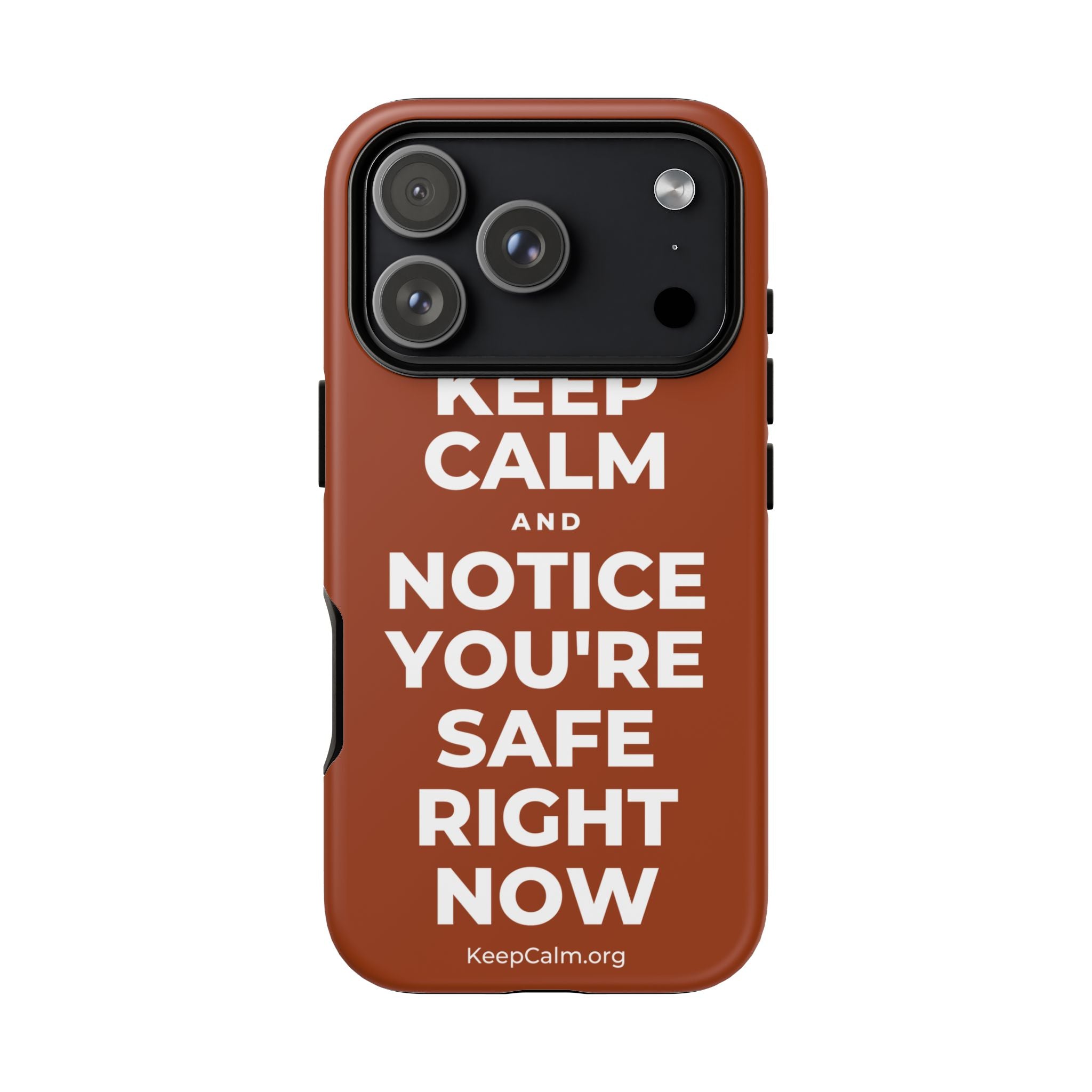 KEEP CALM AND NOTICE YOU'RE SAFE RIGHT NOW Phone Case