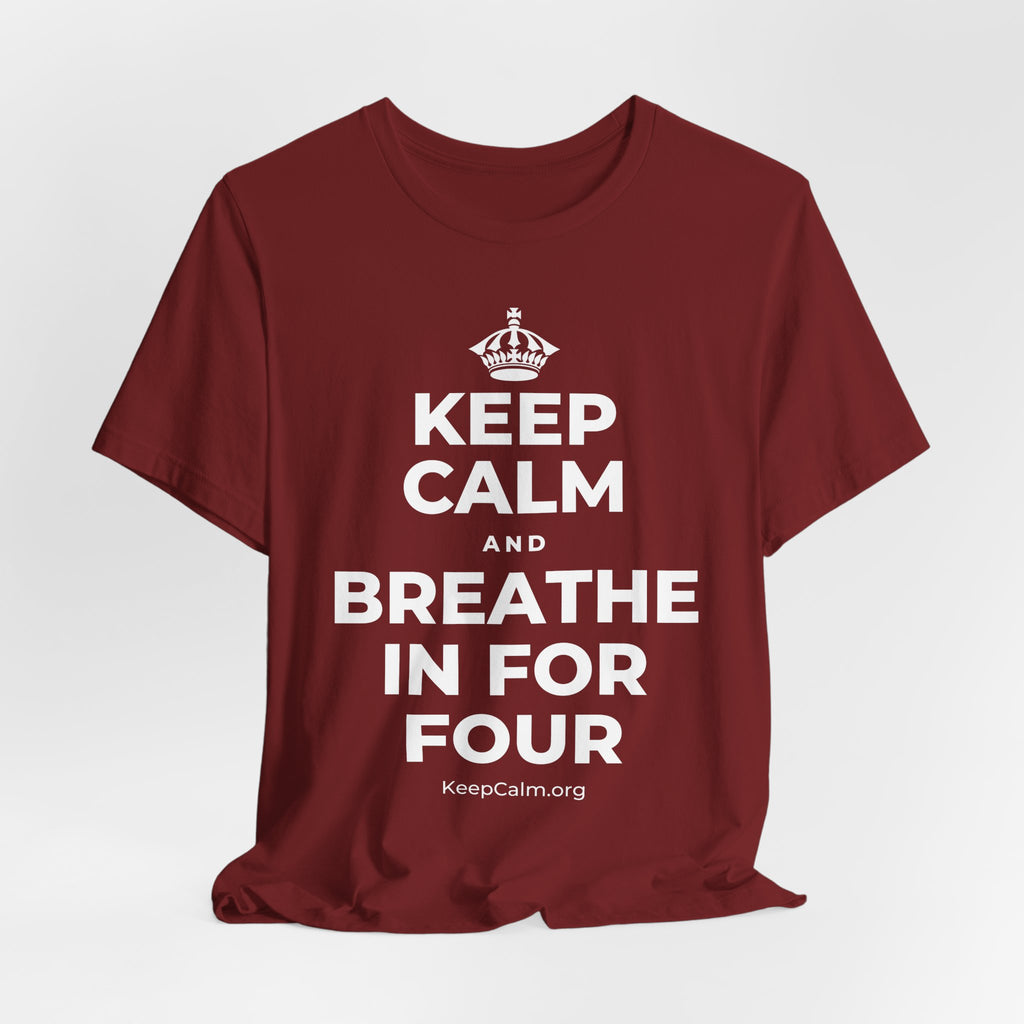 KEEP CALM AND BREATHE IN FOR FOUR T-Shirt (Baby Blue–Silver)