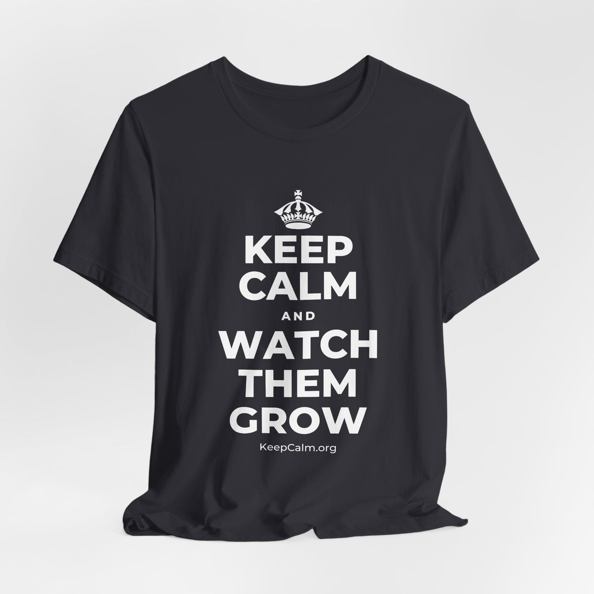 KEEP CALM AND WATCH THEM GROW T-Shirt (Baby Blue–Silver)