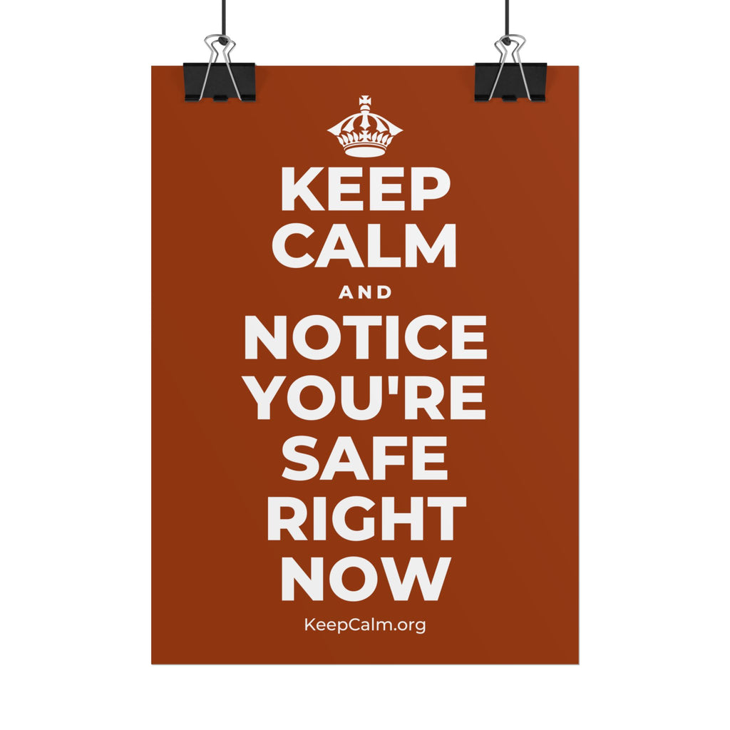 KEEP CALM AND NOTICE YOU'RE SAFE RIGHT NOW Poster