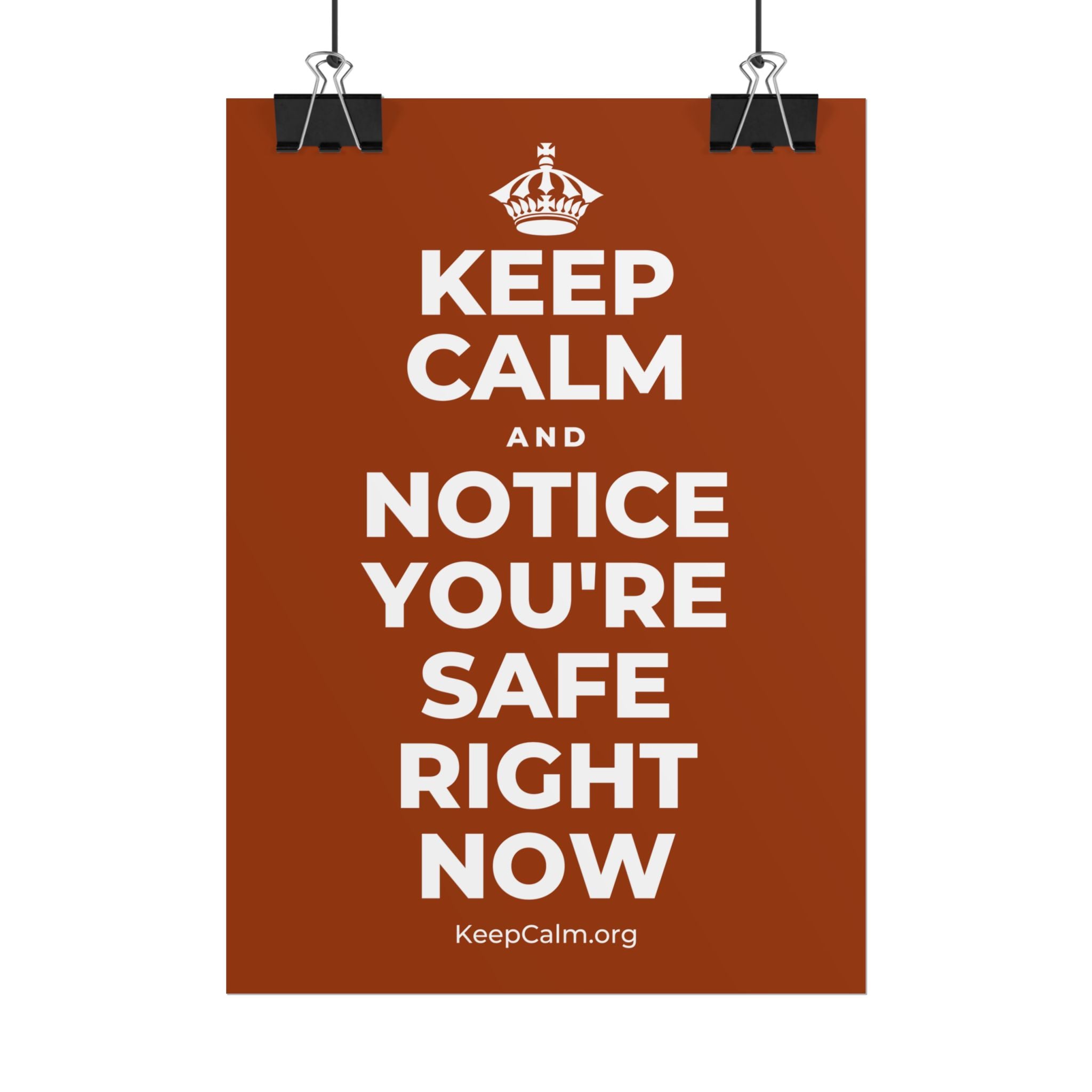 KEEP CALM AND NOTICE YOU'RE SAFE RIGHT NOW Poster