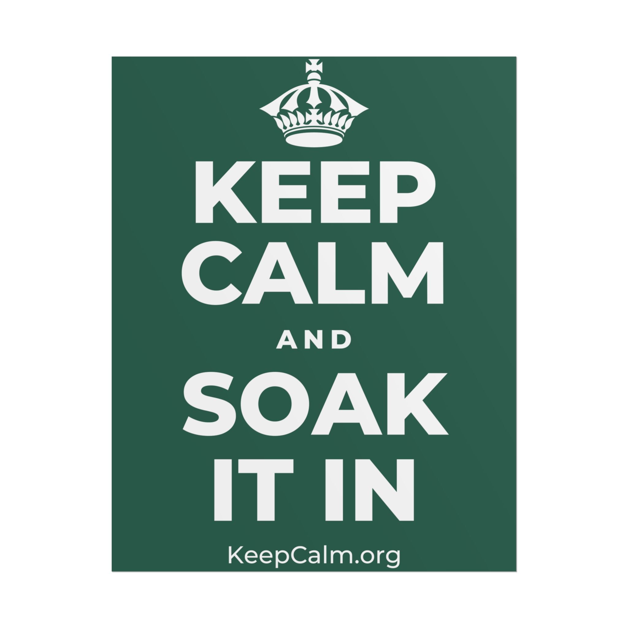 KEEP CALM AND SOAK IT IN Poster