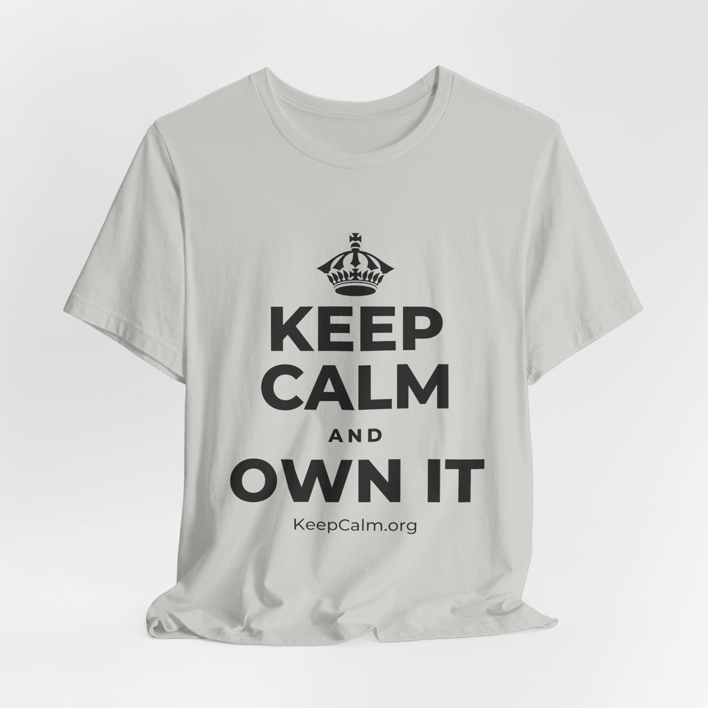 KEEP CALM AND OWN IT T-Shirt (Baby Blue–Silver)