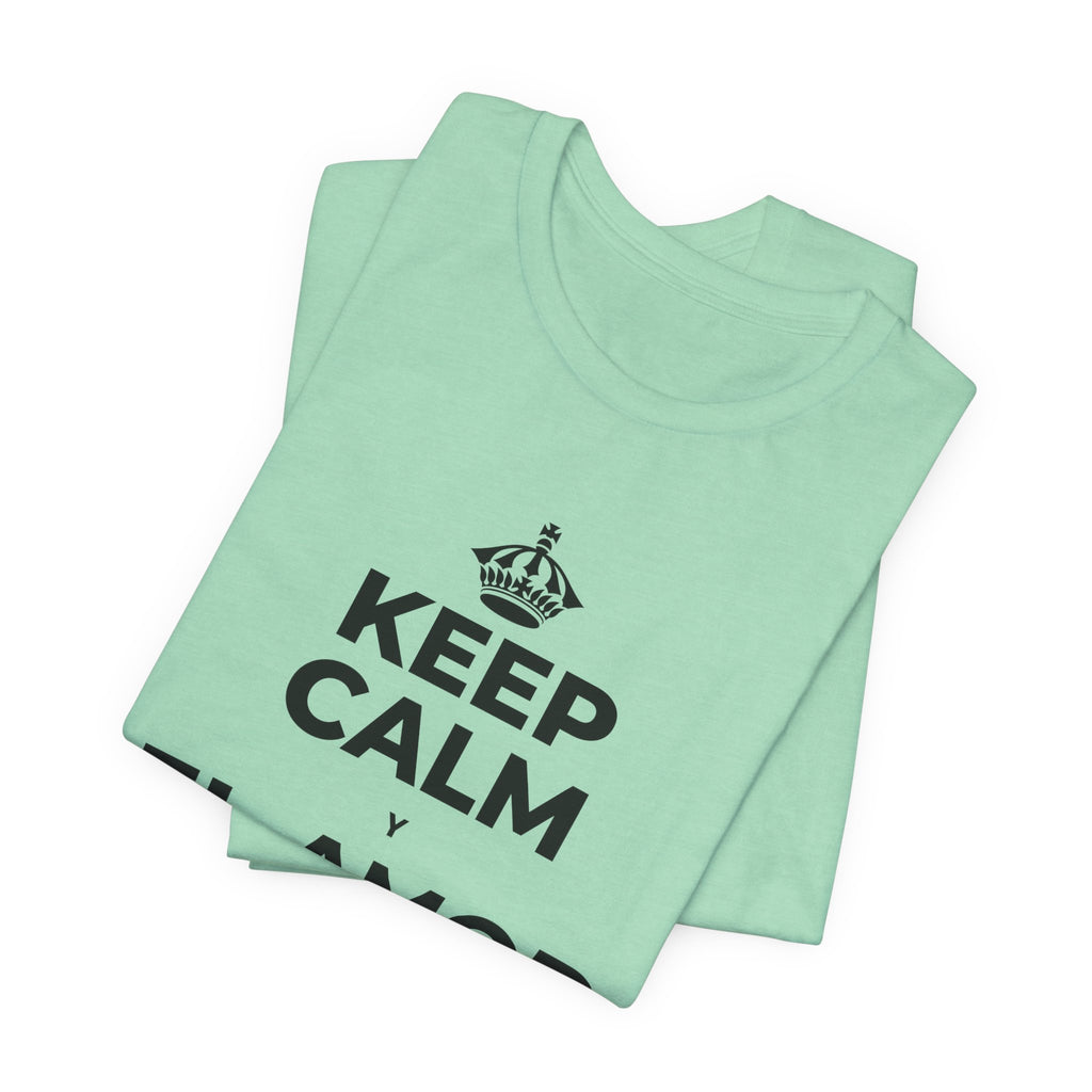 KEEP CALM Y EL AMOR PROPIO CUENTA T-Shirt (Baby Blue–Silver)