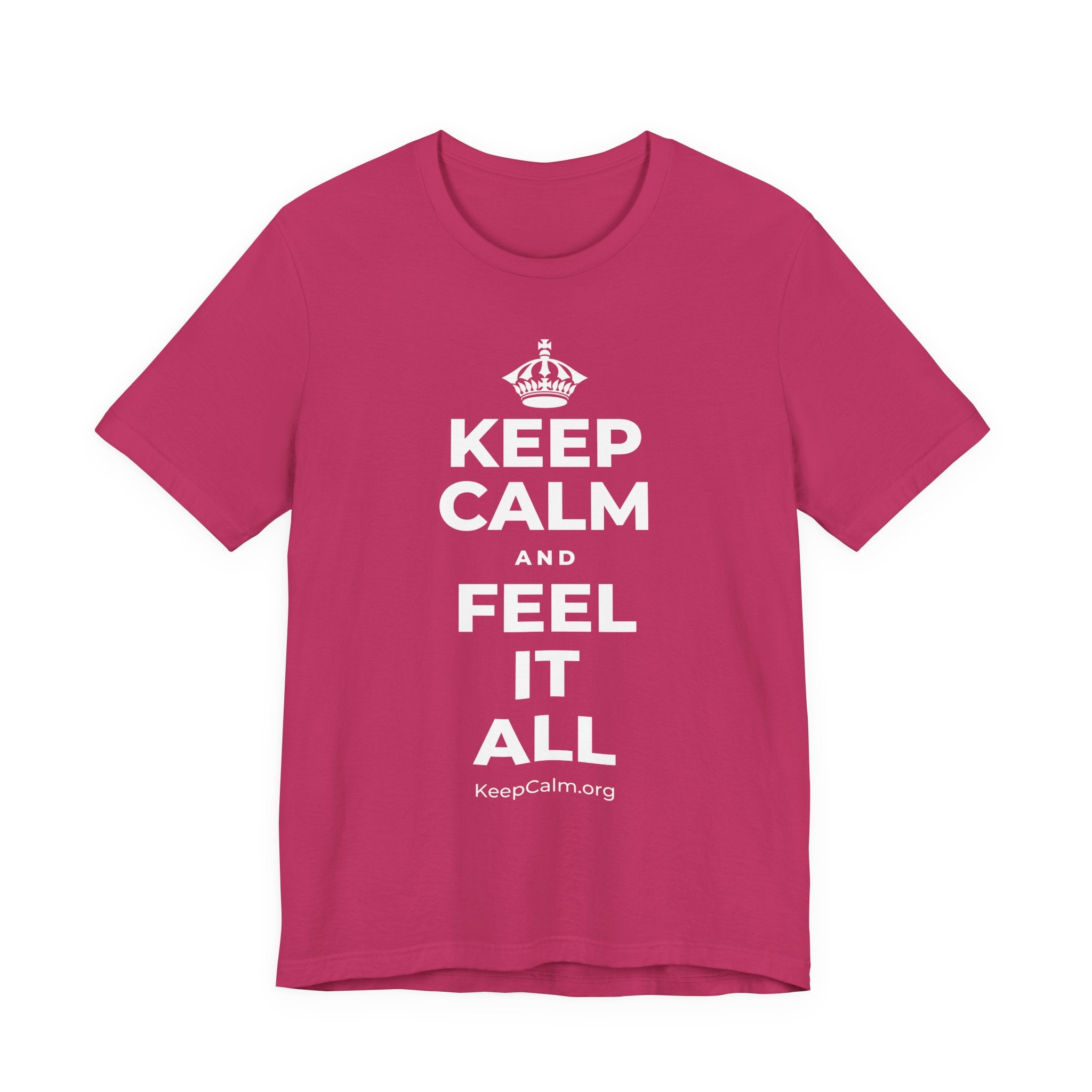 KEEP CALM AND FEEL IT ALL T-Shirt (Baby Blue–Silver)