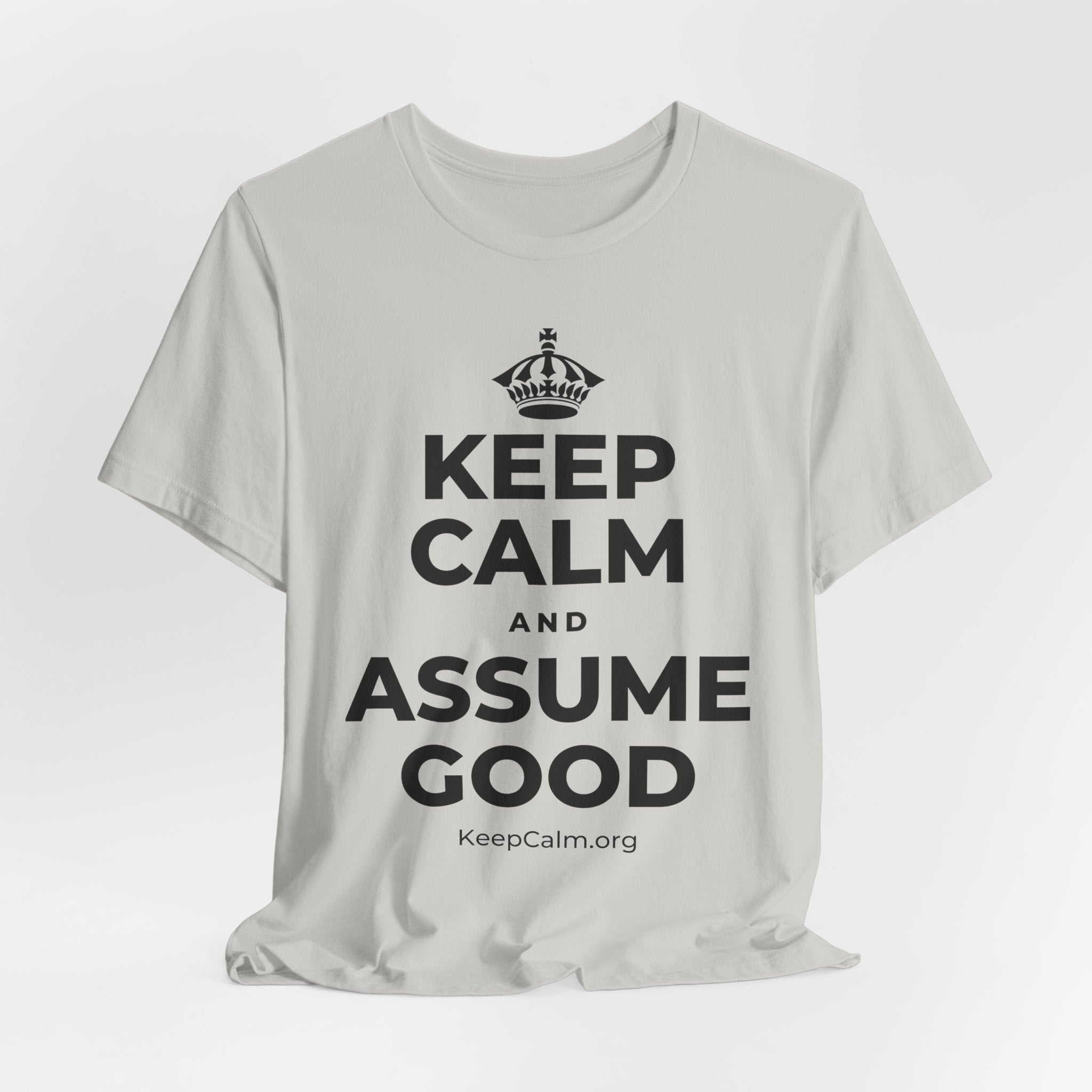 KEEP CALM AND ASSUME GOOD T-Shirt (Baby Blue–Silver)