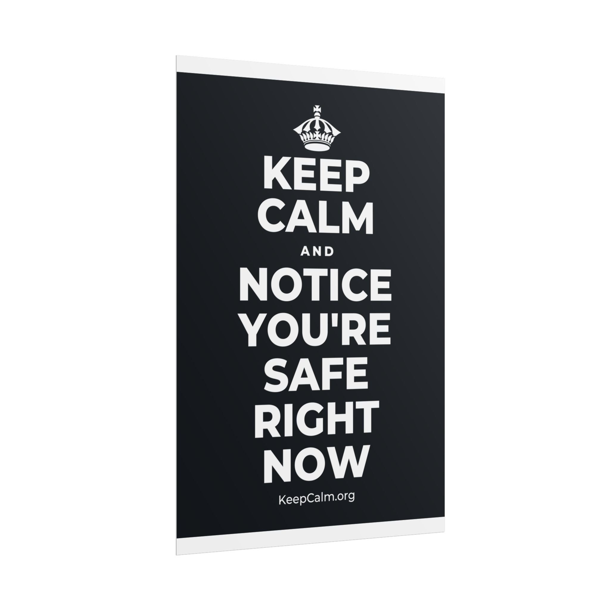 KEEP CALM AND NOTICE YOU'RE SAFE RIGHT NOW Poster (Dark)