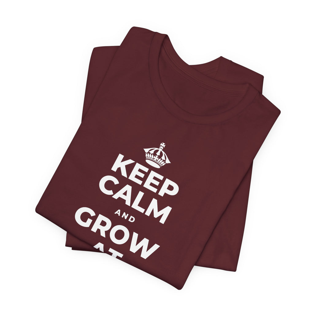 KEEP CALM AND GROW AT YOUR OWN PACE T-Shirt (Baby Blue–Silver)