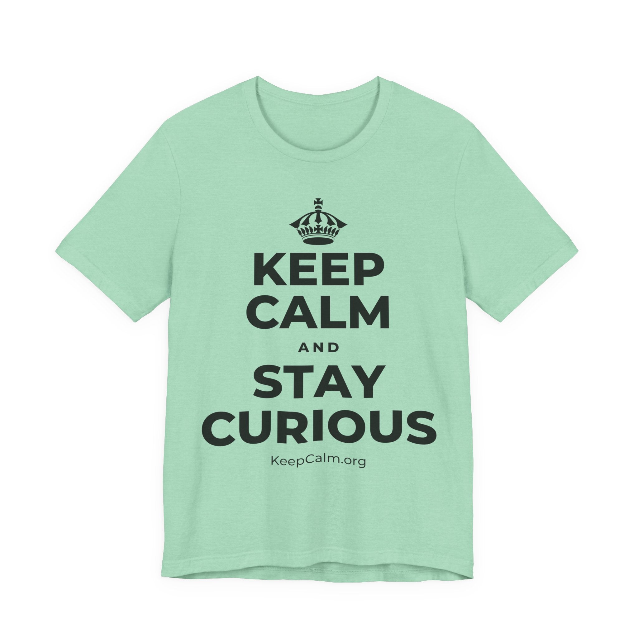 KEEP CALM AND STAY CURIOUS T-Shirt (Baby Blue–Silver)