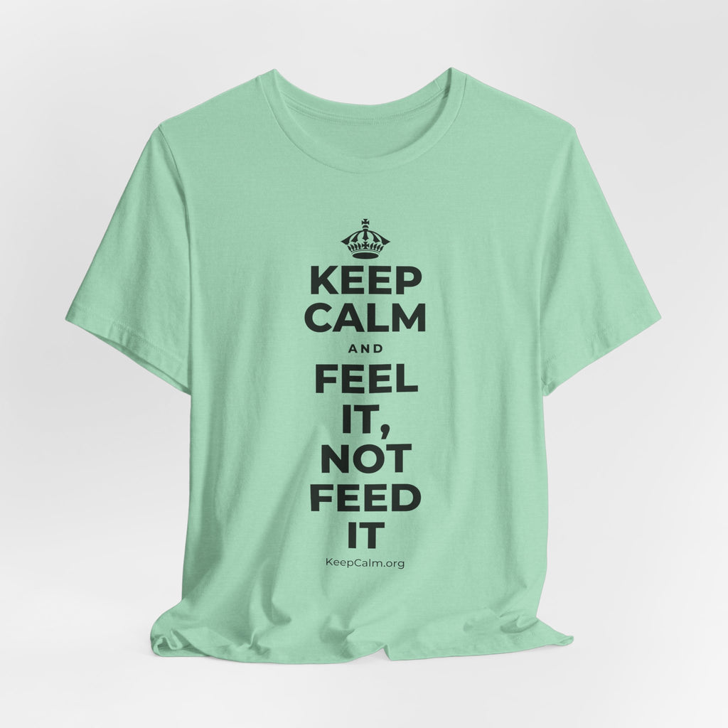KEEP CALM AND FEEL IT, NOT FEED IT T-Shirt (Baby Blue–Silver)