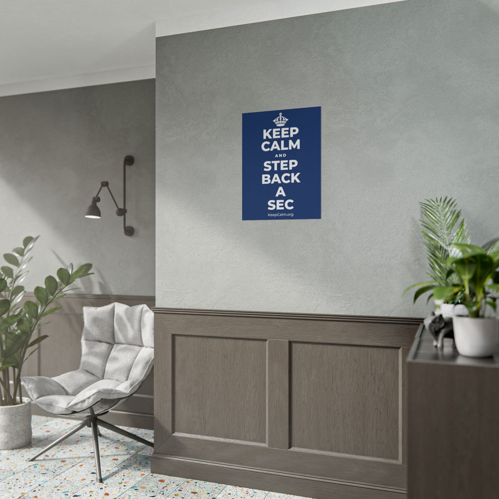 KEEP CALM AND STEP BACK A SEC Poster