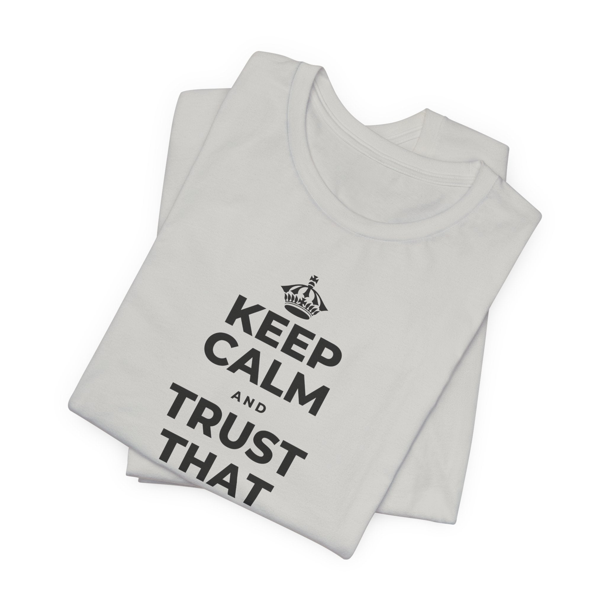KEEP CALM AND TRUST THAT YOU'RE DOING YOUR BEST T-Shirt (Baby Blue–Silver)