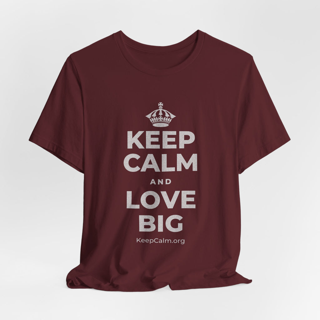 KEEP CALM AND LOVE BIG T-Shirt (Baby Blue–Silver)