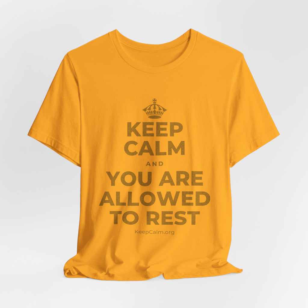 KEEP CALM AND YOU ARE ALLOWED TO REST T-Shirt (Baby Blue–Silver)