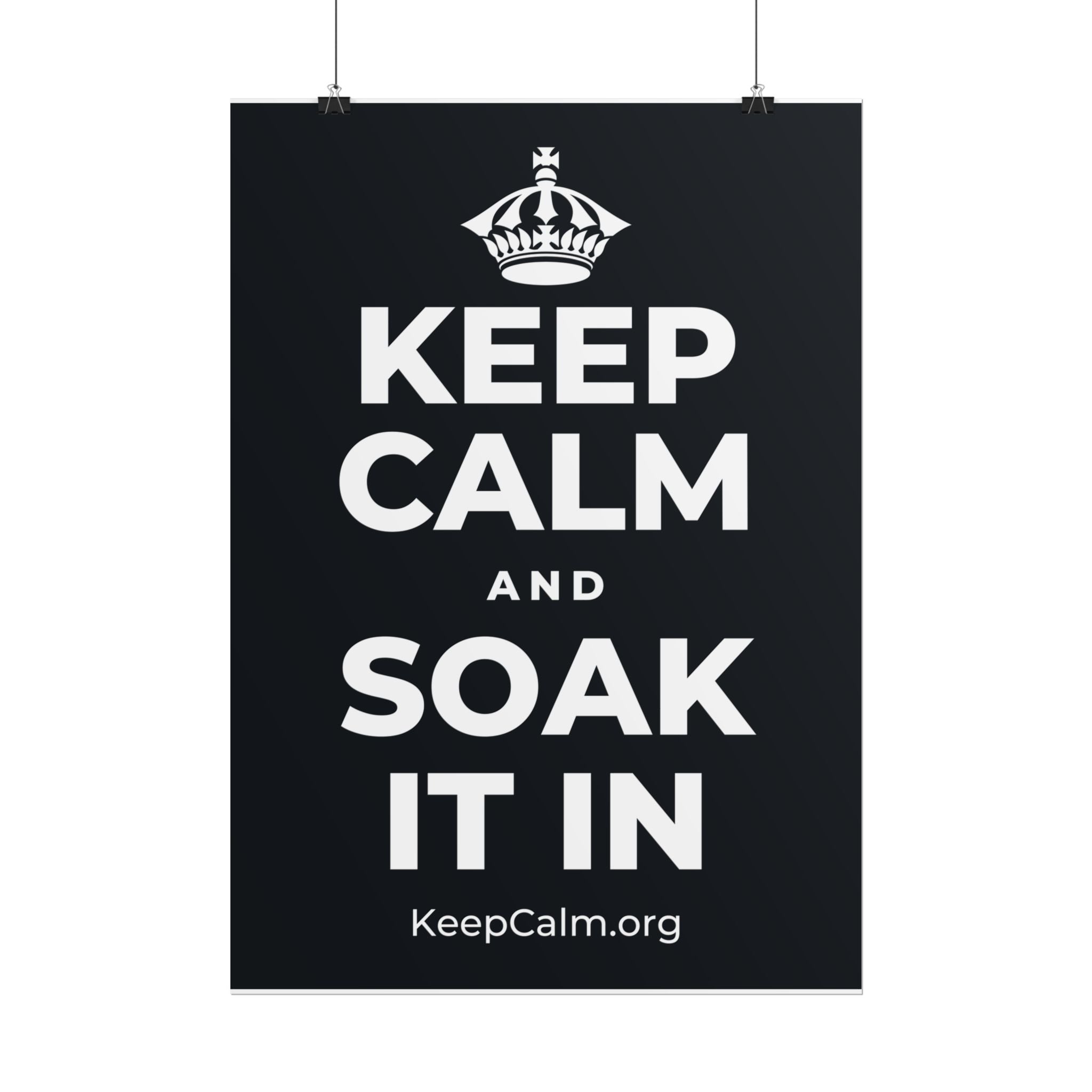 KEEP CALM AND SOAK IT IN Poster (Dark)