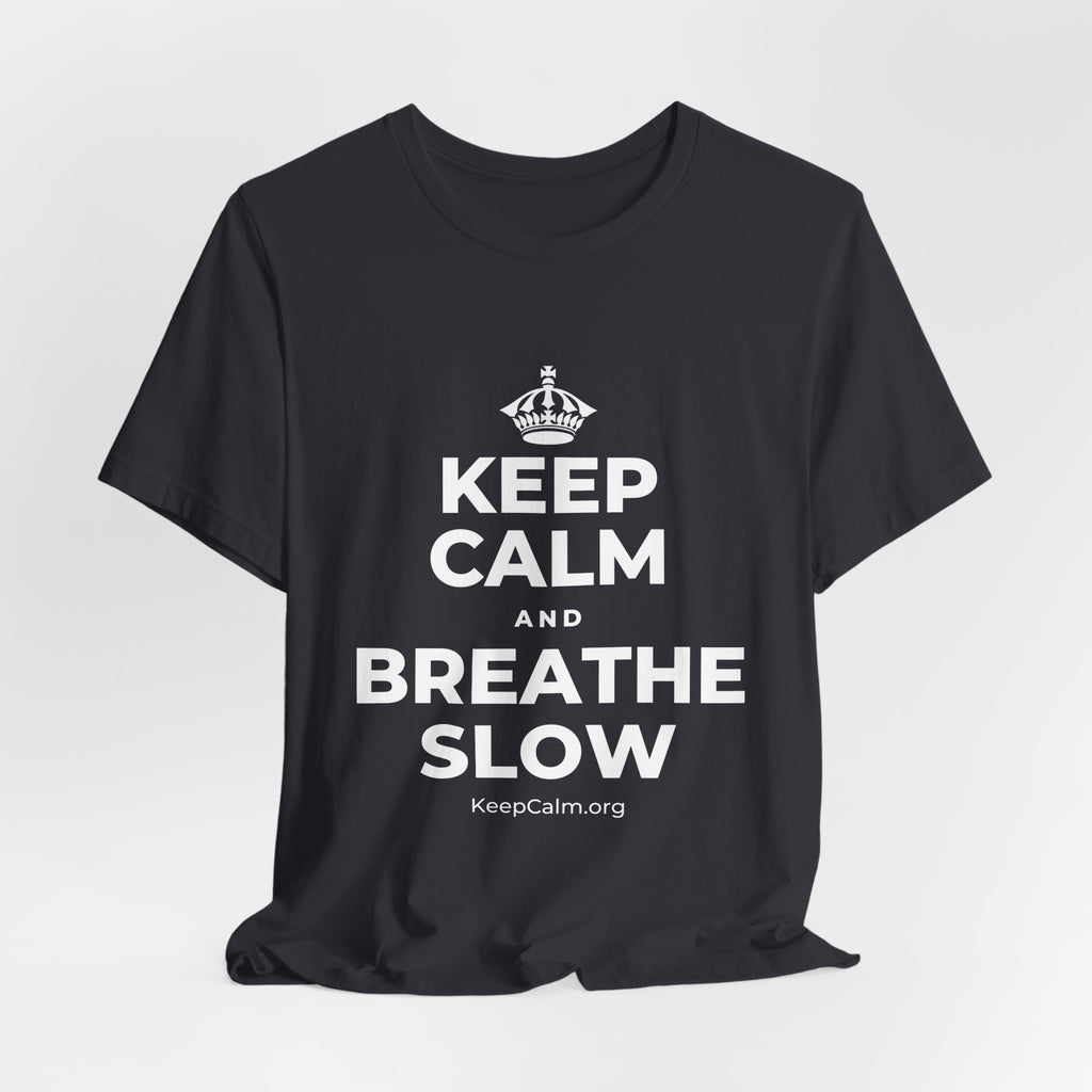 KEEP CALM AND BREATHE SLOW T-Shirt (Baby Blue–Silver)