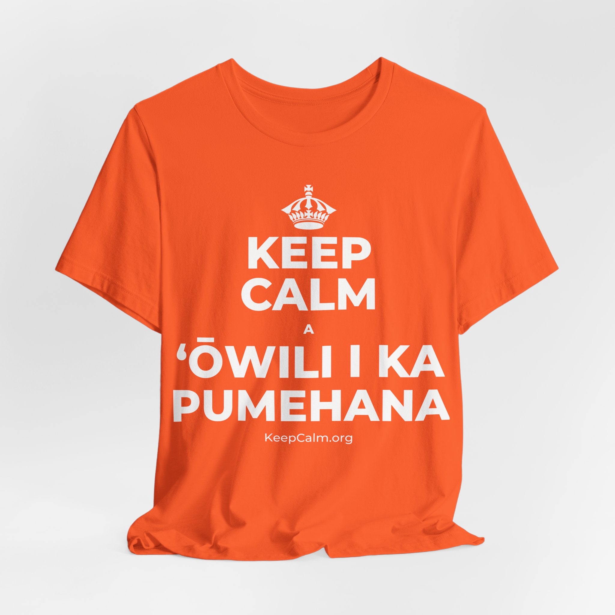KEEP CALM A ʻŌWILI I KA PUMEHANA T-Shirt (Baby Blue–Silver)