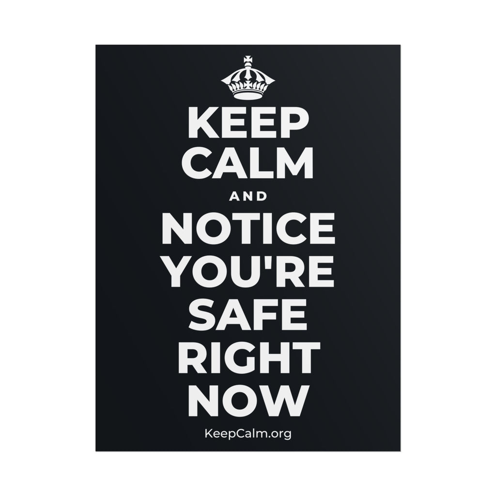 KEEP CALM AND NOTICE YOU'RE SAFE RIGHT NOW Poster (Dark)