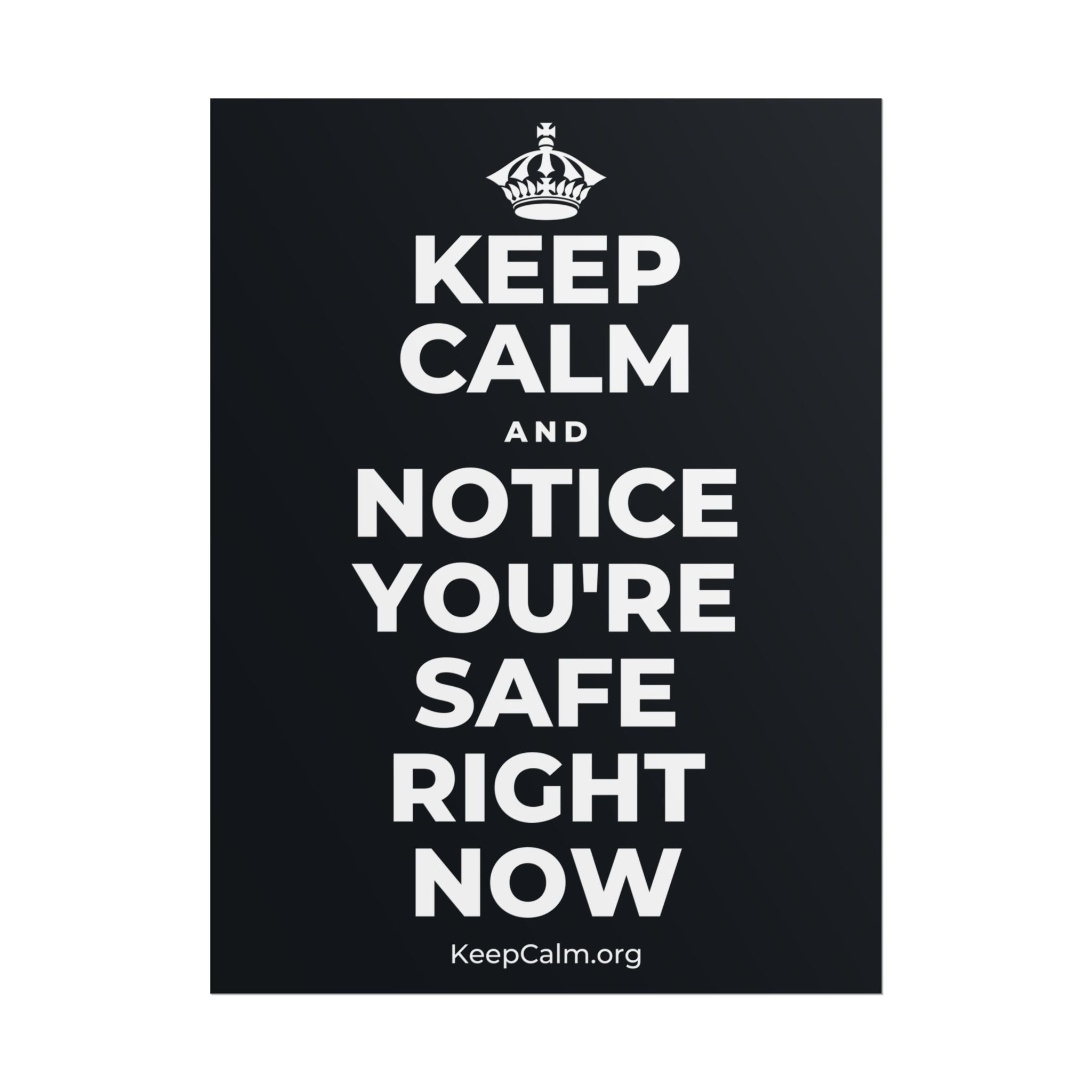 KEEP CALM AND NOTICE YOU'RE SAFE RIGHT NOW Poster (Dark)