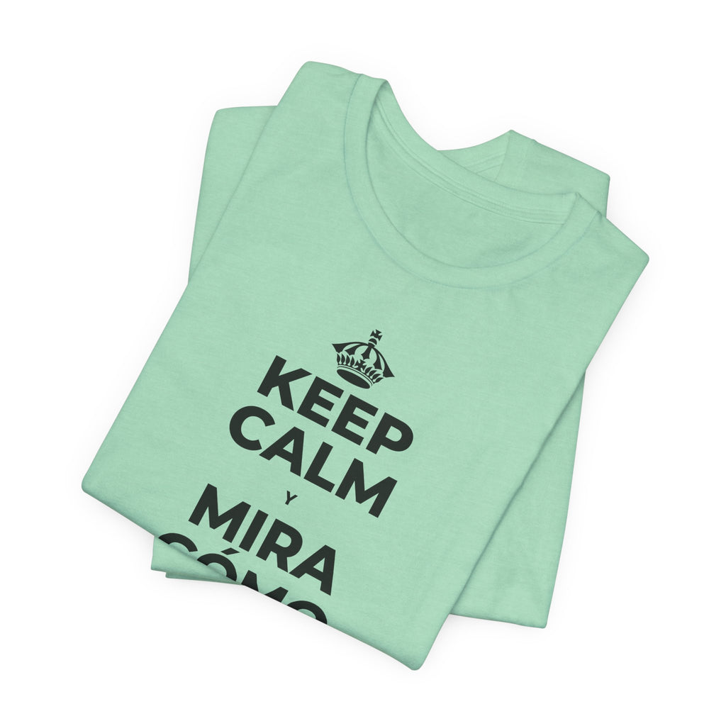 KEEP CALM Y MIRA CÓMO CAMBIAN LAS HOJAS T-Shirt (Baby Blue–Silver)