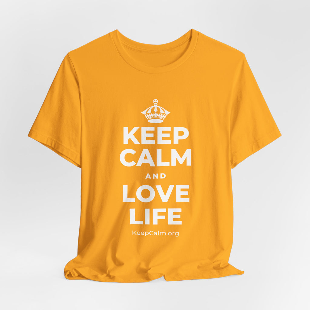 KEEP CALM AND LOVE LIFE T-Shirt (Baby Blue–Silver)