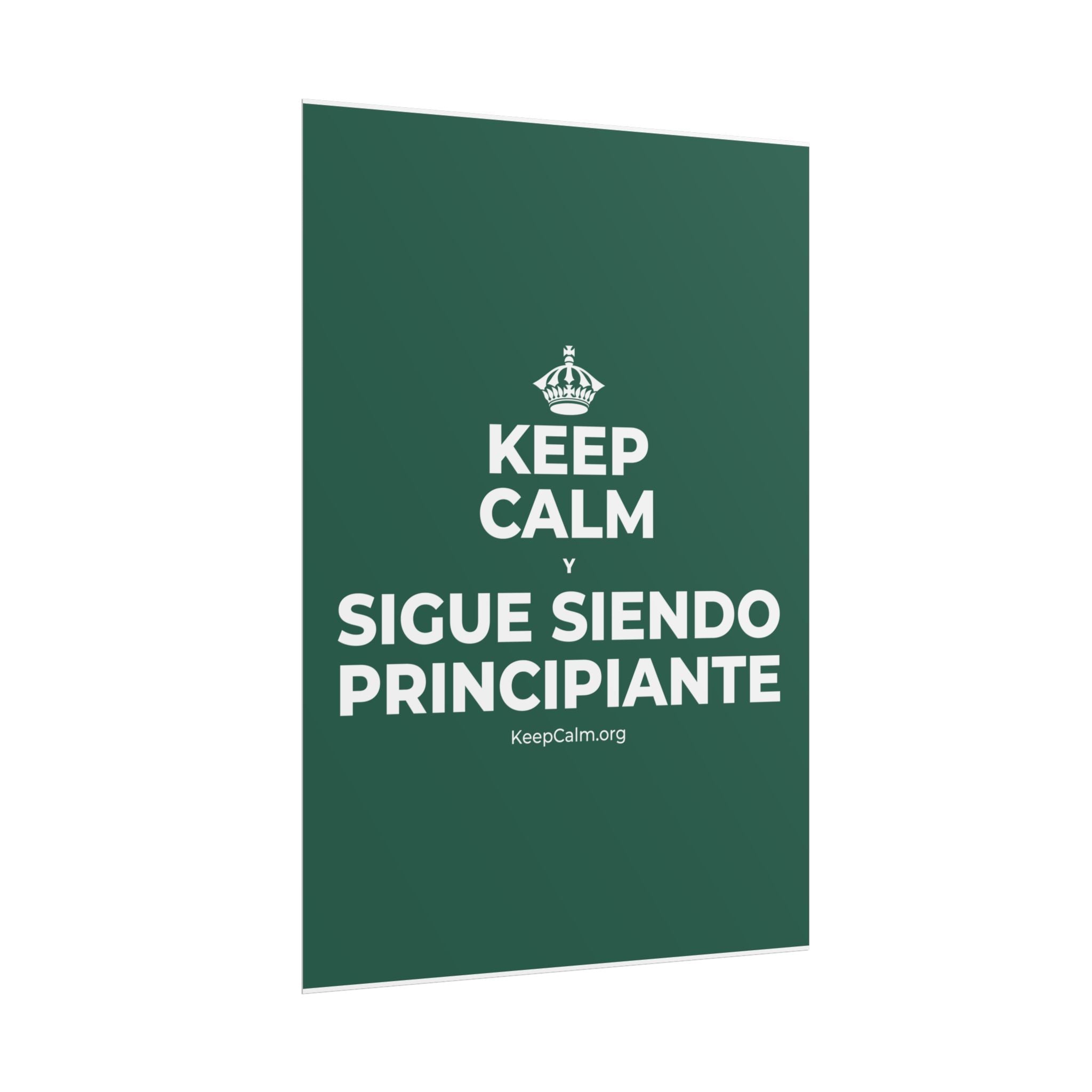 KEEP CALM Y SIGUE SIENDO PRINCIPIANTE Poster