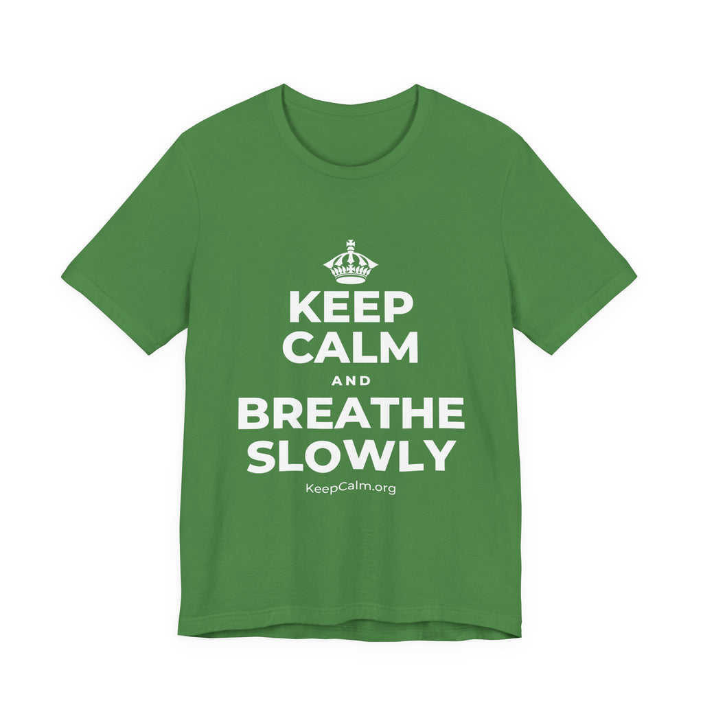 KEEP CALM AND BREATHE SLOWLY T-Shirt (Baby Blue–Silver)