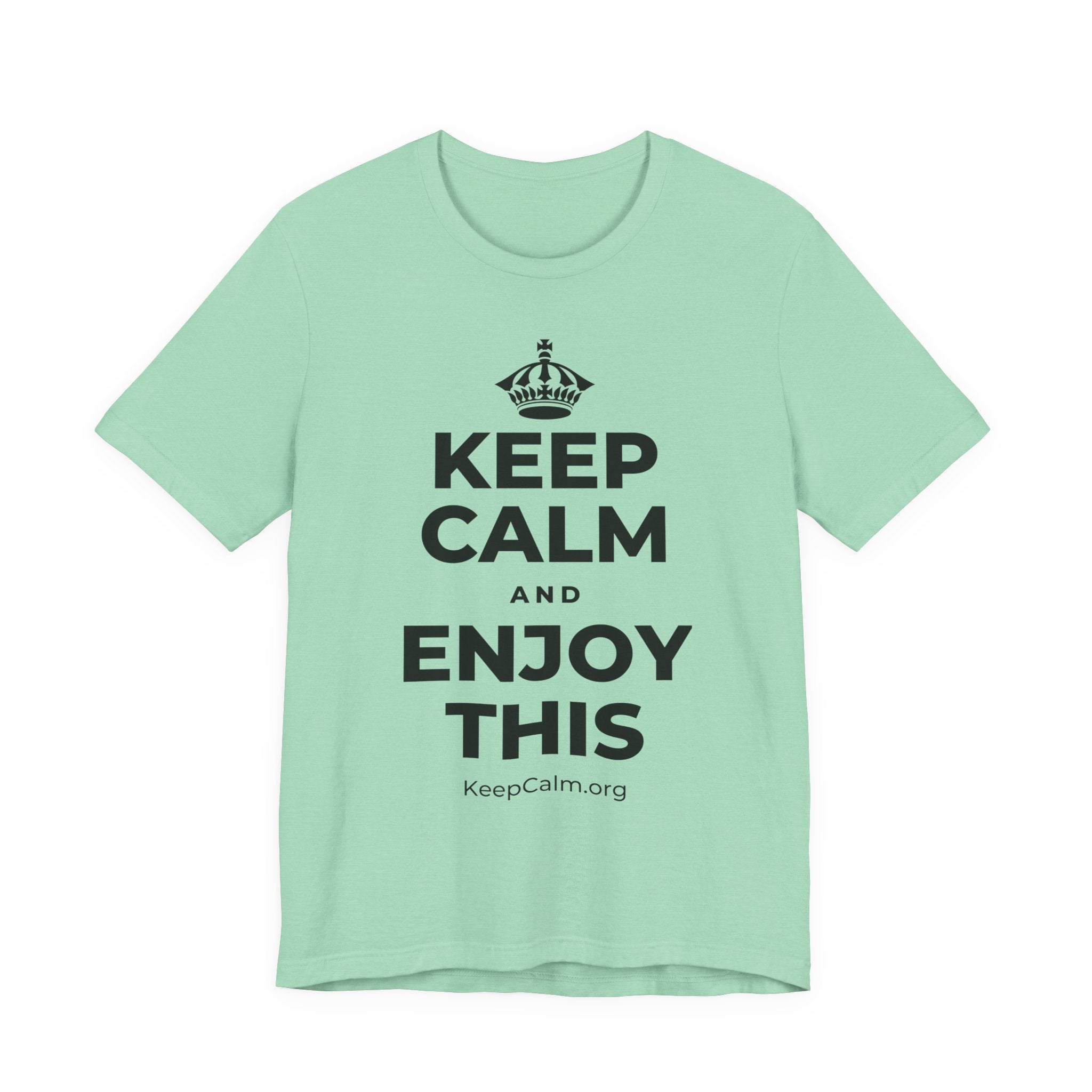 KEEP CALM AND ENJOY THIS T-Shirt (Baby Blue–Silver)