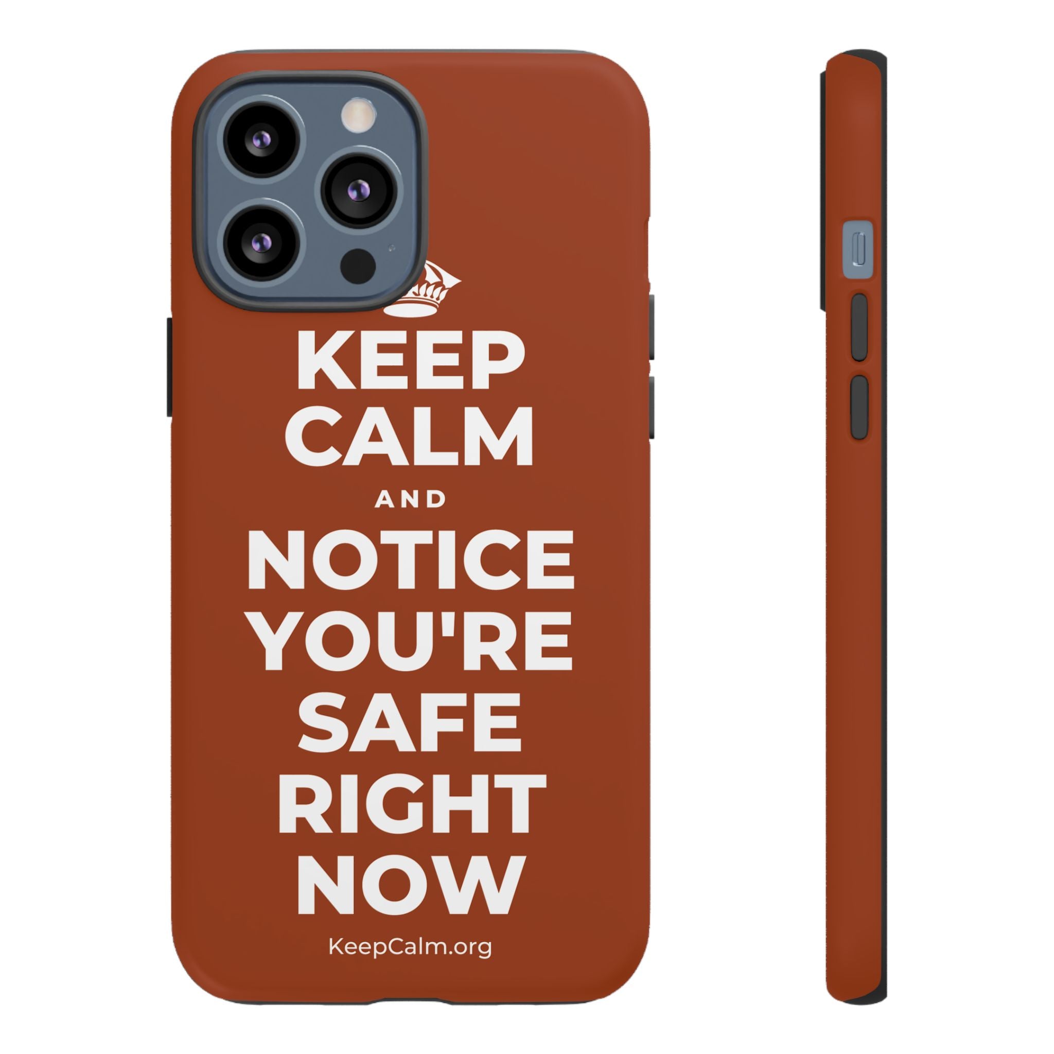 KEEP CALM AND NOTICE YOU'RE SAFE RIGHT NOW Phone Case