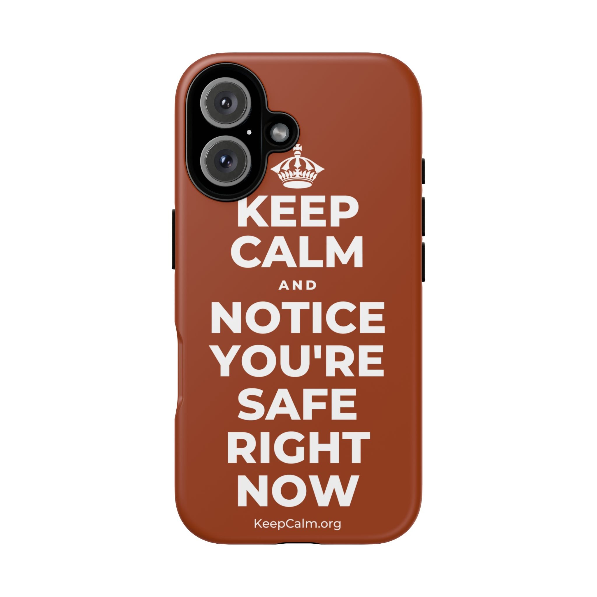 KEEP CALM AND NOTICE YOU'RE SAFE RIGHT NOW Phone Case