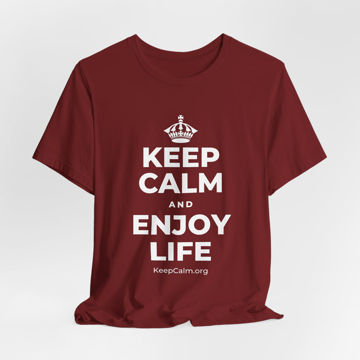 KEEP CALM AND ENJOY LIFE T-Shirt (Baby Blue–Silver)