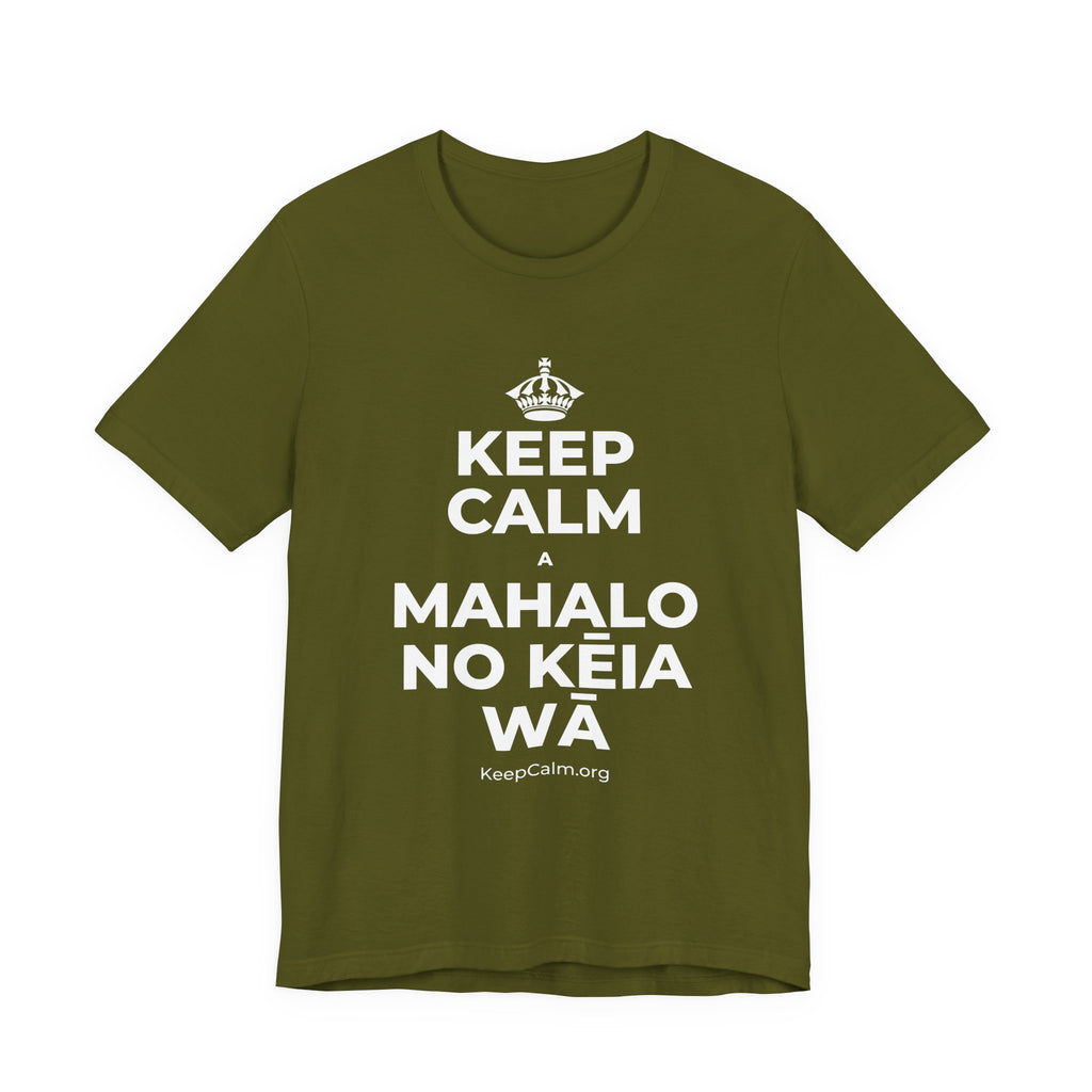 KEEP CALM A MAHALO NO KĒIA WĀ T-Shirt (Baby Blue–Silver)