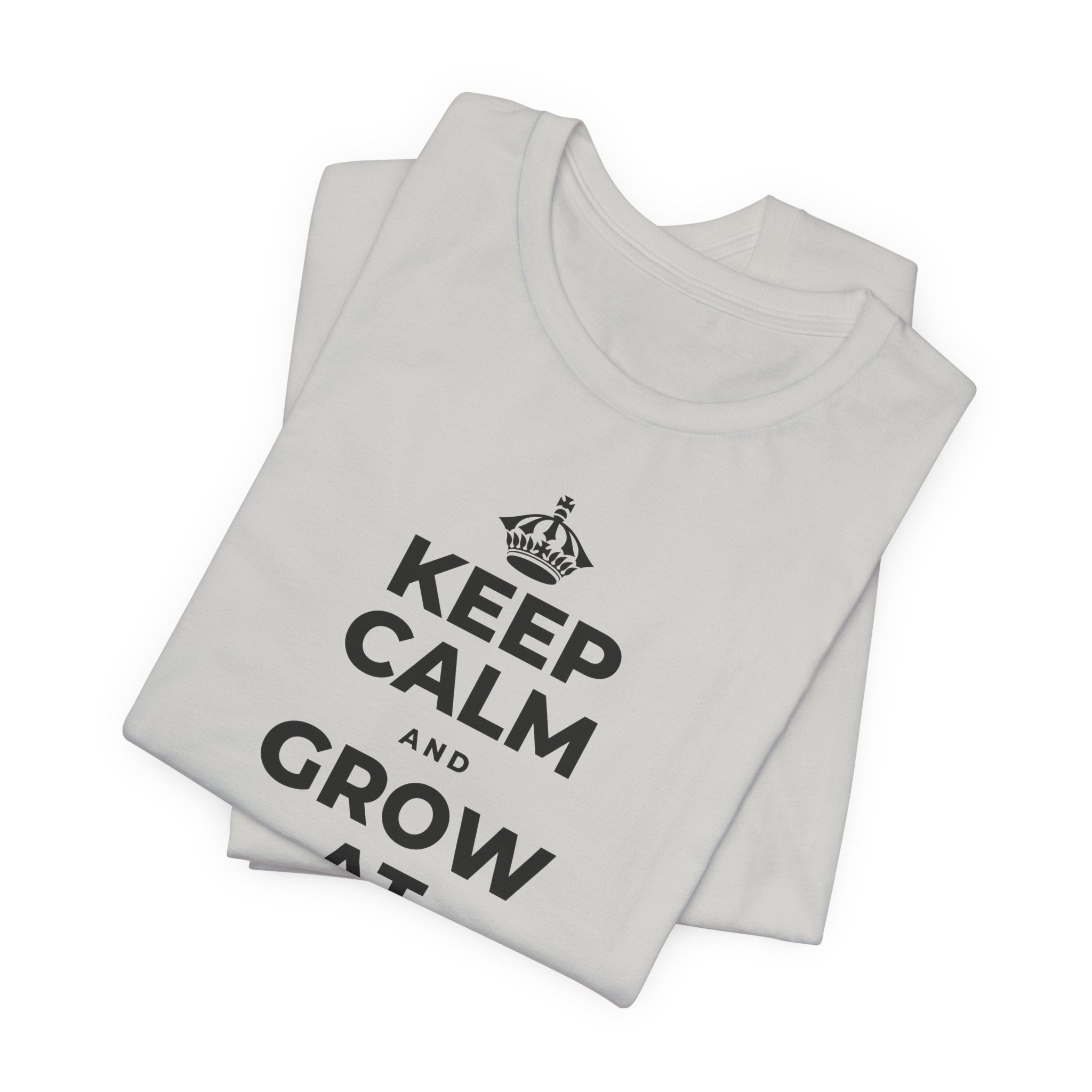 KEEP CALM AND GROW AT YOUR OWN PACE T-Shirt (Baby Blue–Silver)