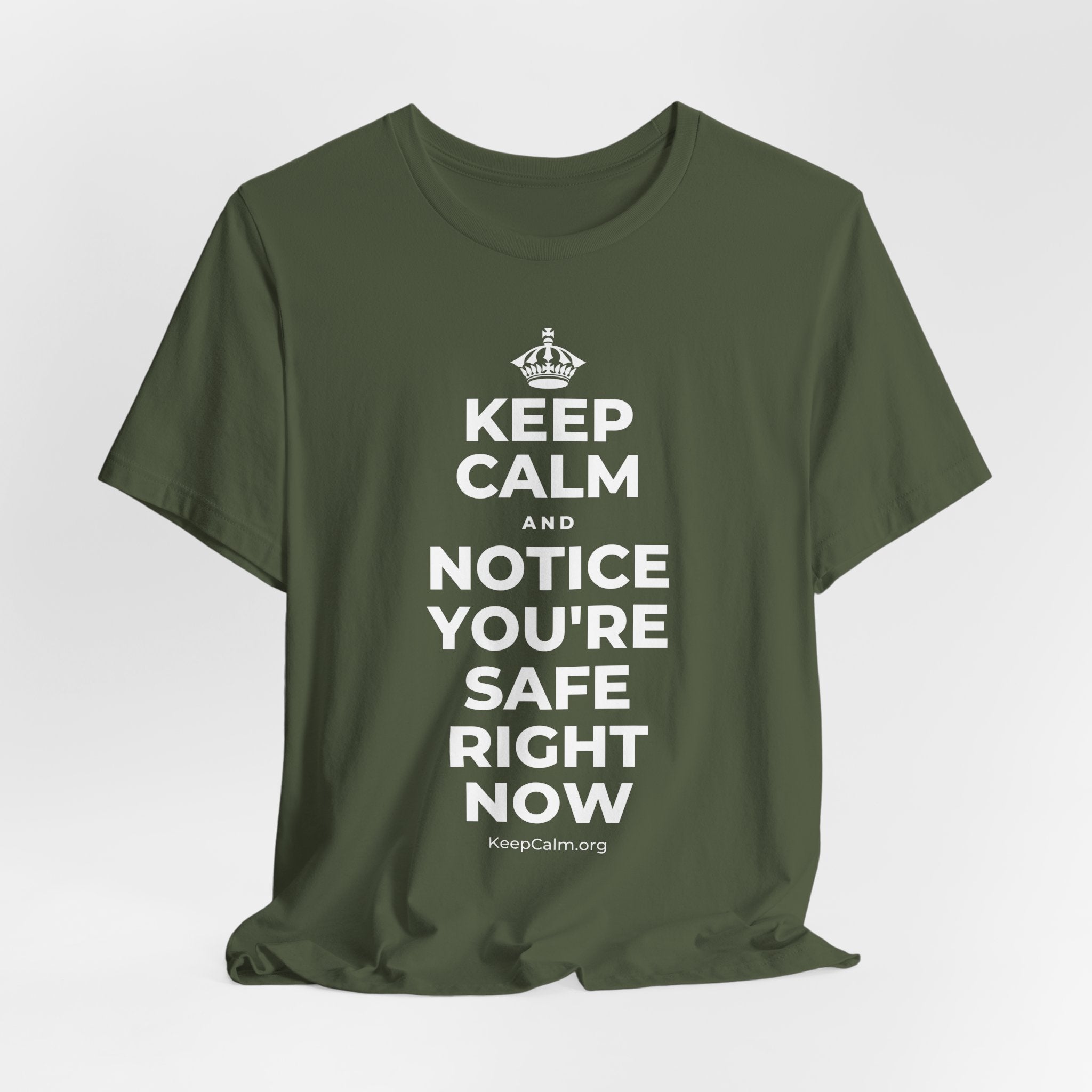 KEEP CALM AND NOTICE YOU'RE SAFE RIGHT NOW T-Shirt (Military Green–Autumn)