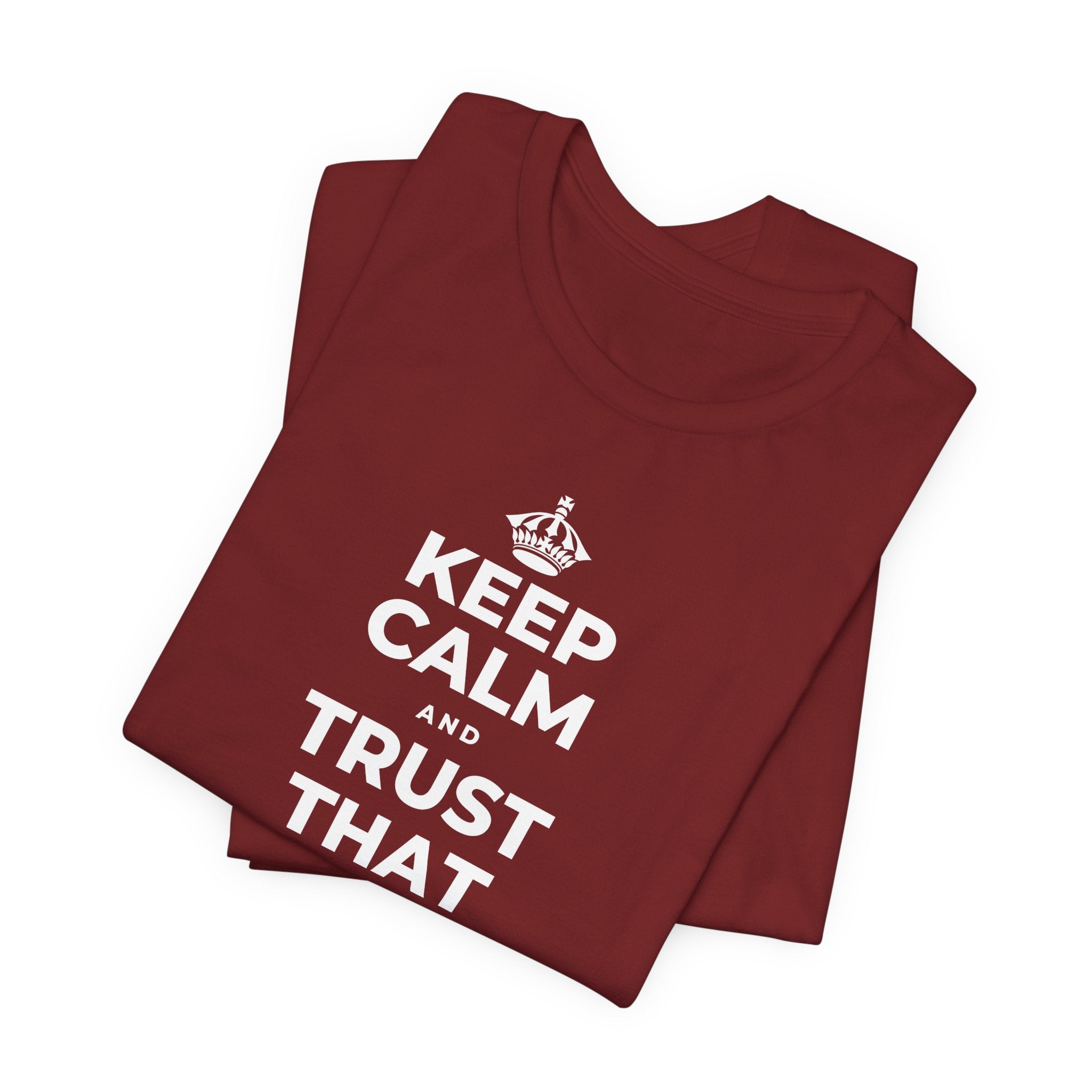 KEEP CALM AND TRUST THAT YOU'RE DOING YOUR BEST T-Shirt (Baby Blue–Silver)