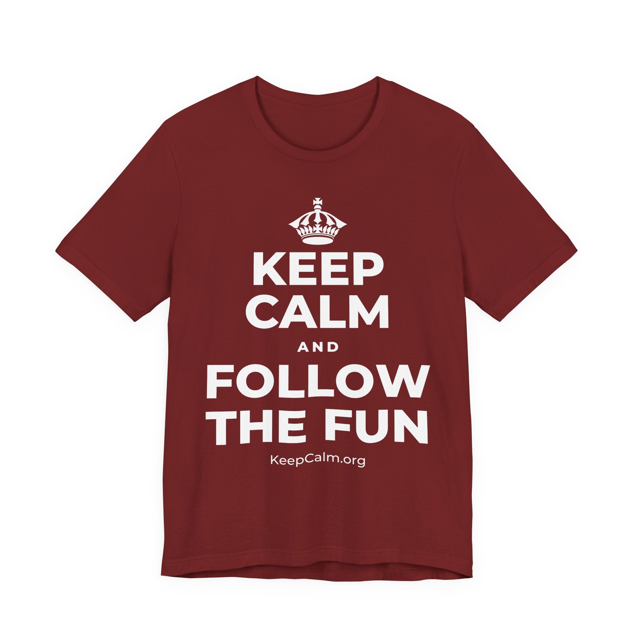KEEP CALM AND FOLLOW THE FUN T-Shirt (Baby Blue–Silver)