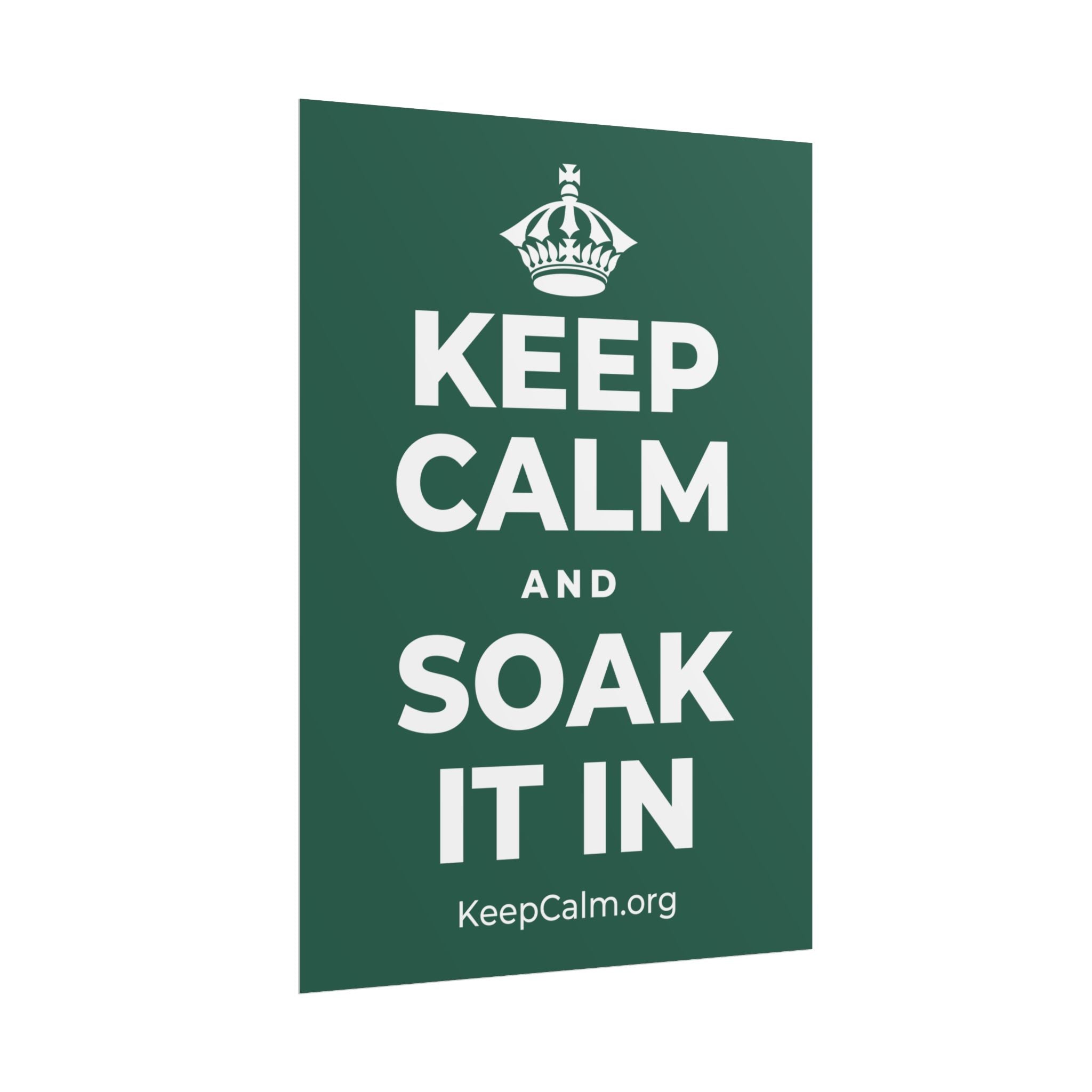 KEEP CALM AND SOAK IT IN Poster