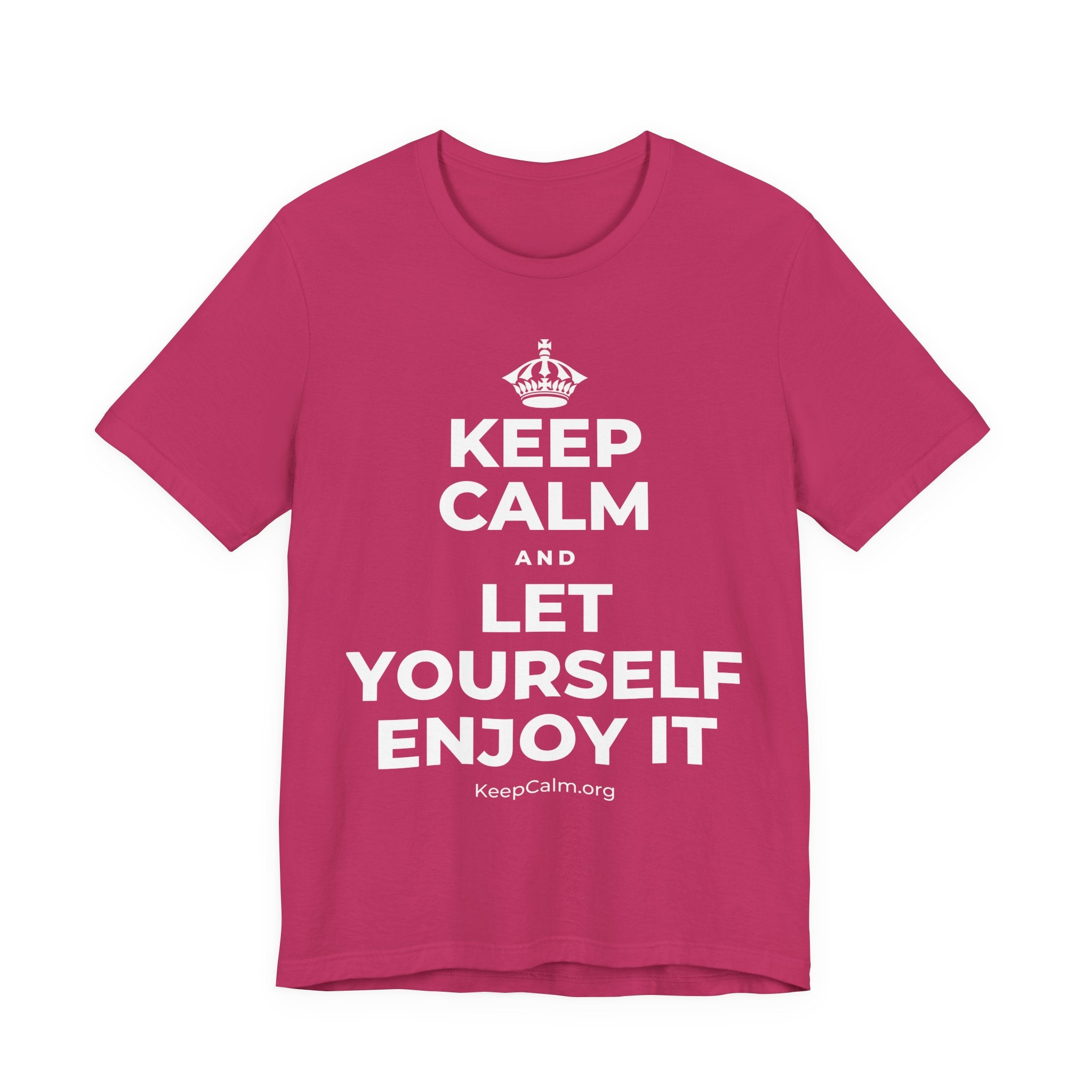 KEEP CALM AND LET YOURSELF ENJOY IT T-Shirt (Baby Blue–Silver)