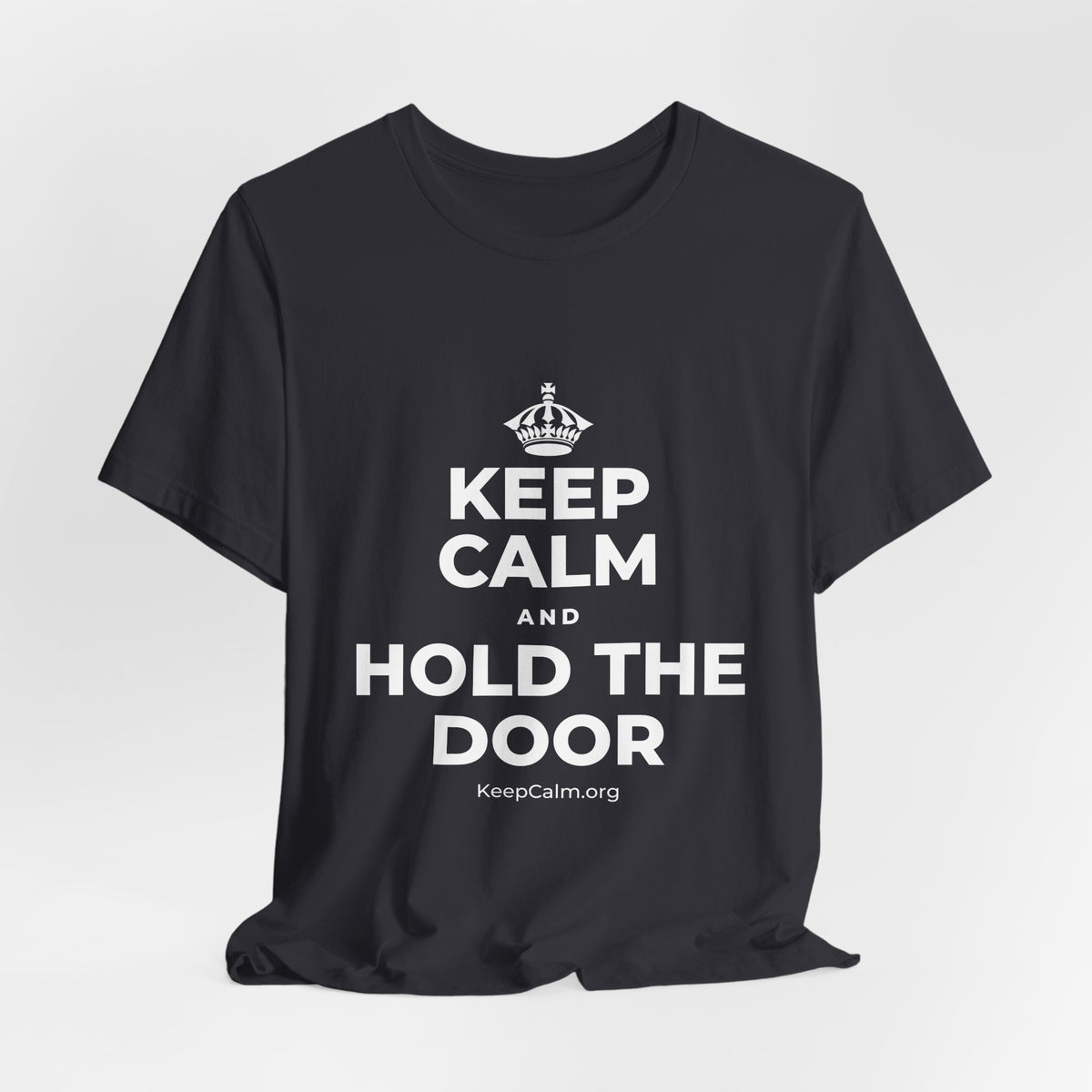 KEEP CALM AND HOLD THE DOOR T-Shirt (Baby Blue–Silver)