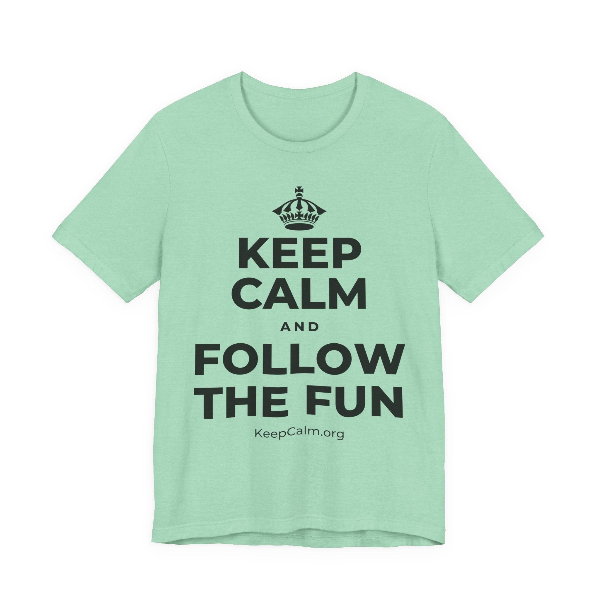 KEEP CALM AND FOLLOW THE FUN T-Shirt (Baby Blue–Silver)
