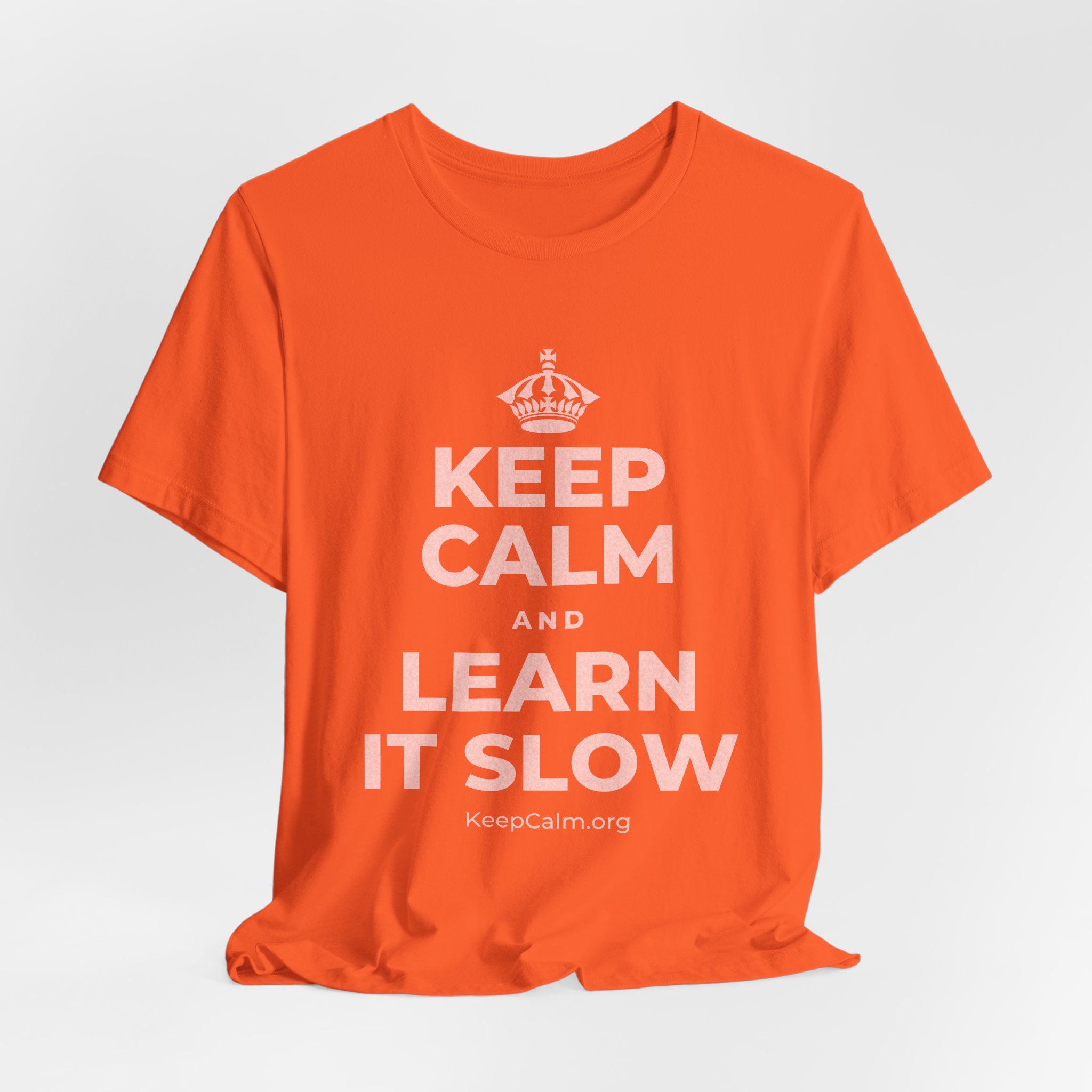 KEEP CALM AND LEARN IT SLOW T-Shirt (Baby Blue–Silver)